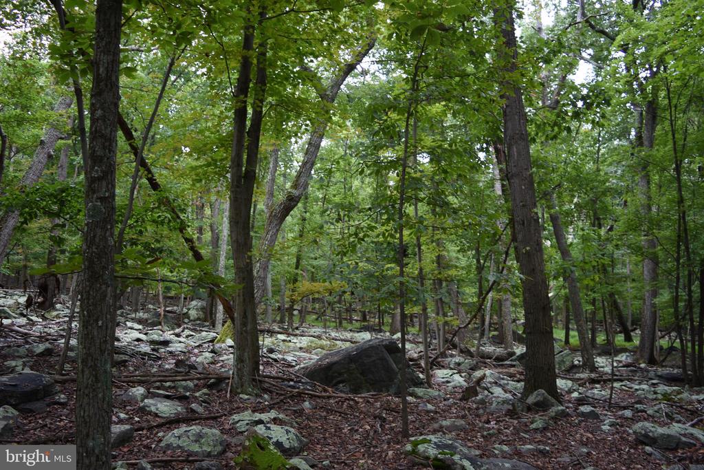 Terrapin Rd