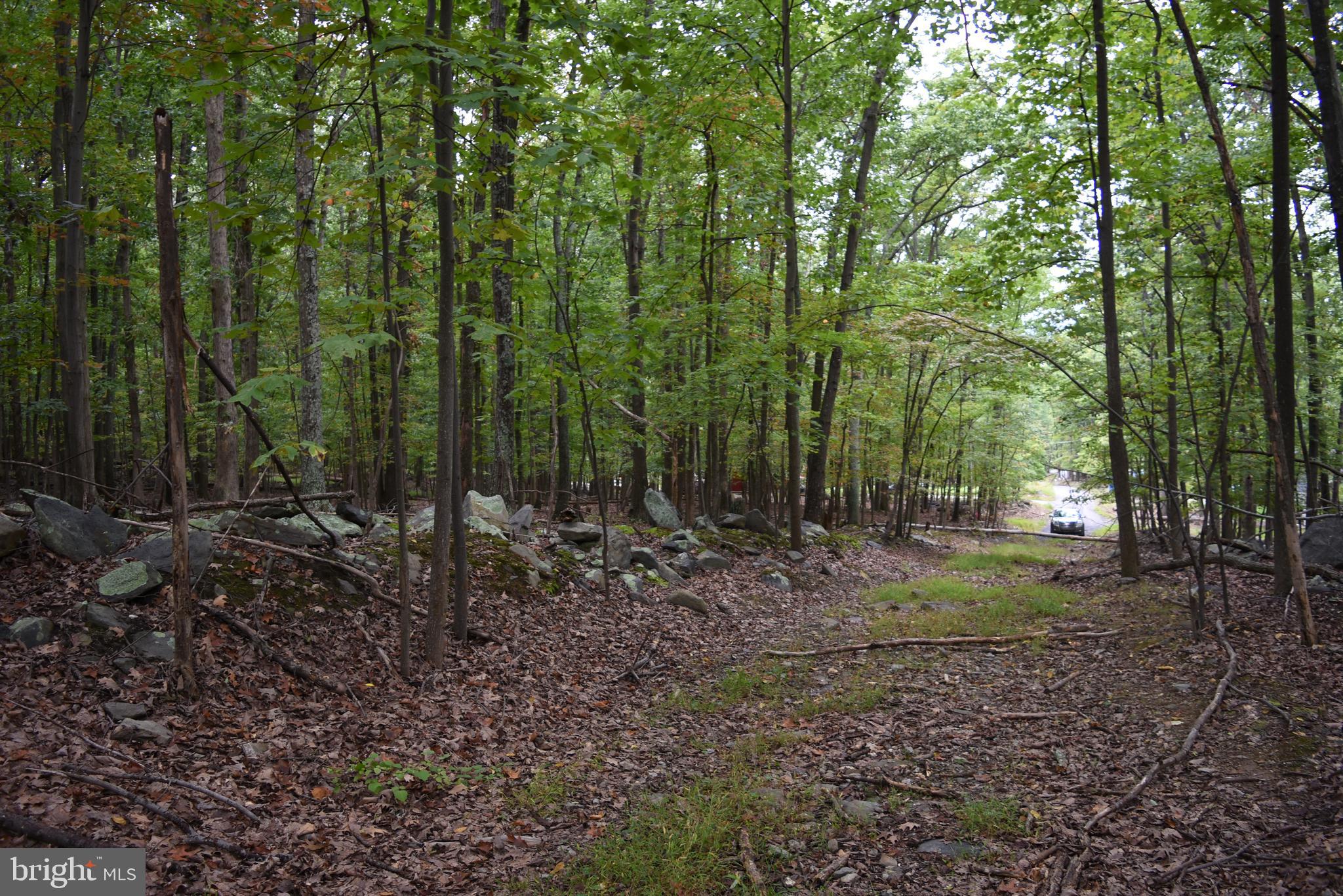 Terrapin Rd