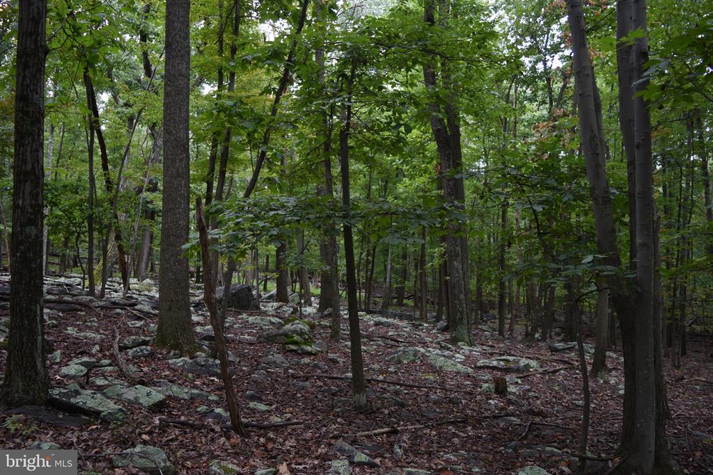 Terrapin Rd