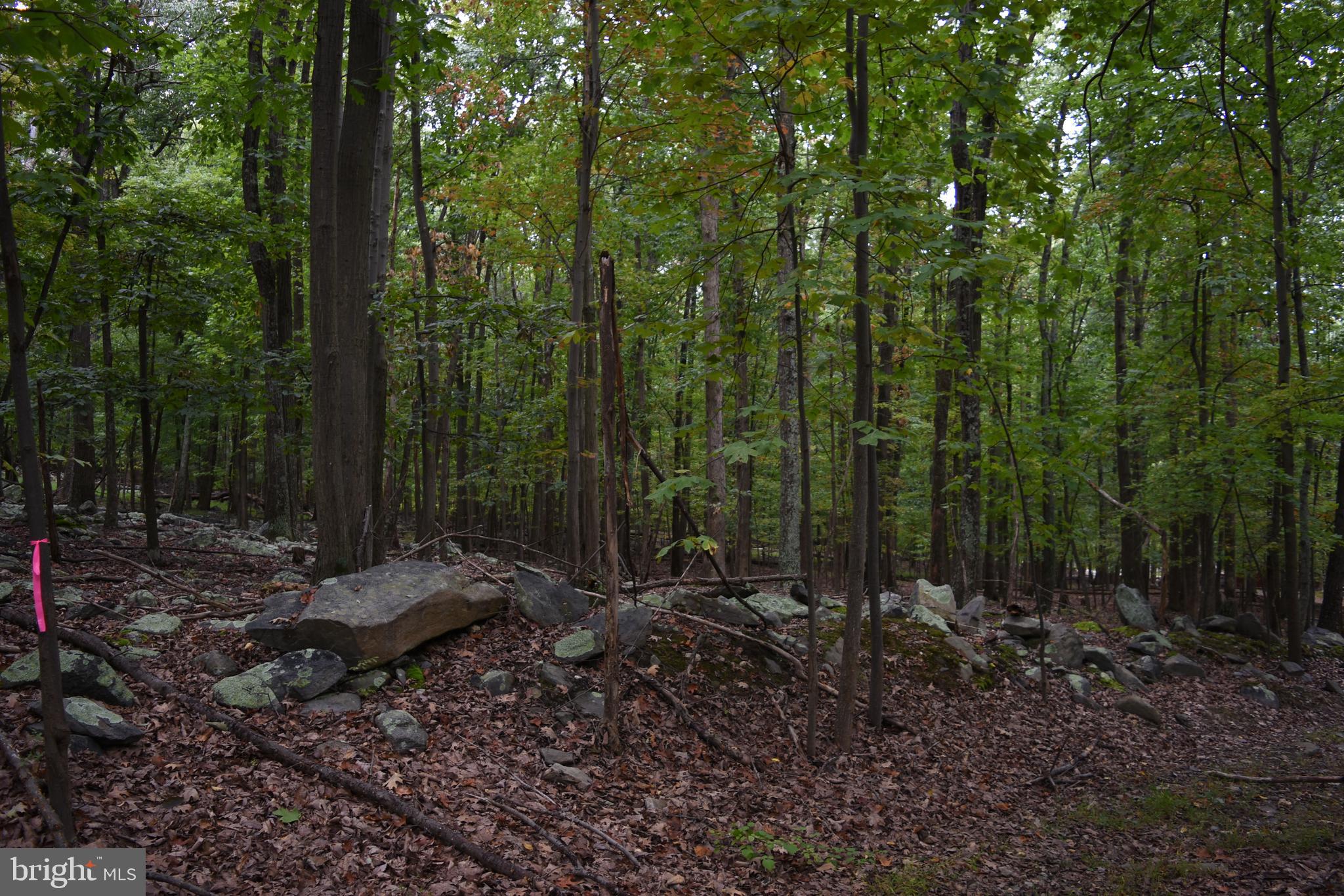 Terrapin Rd