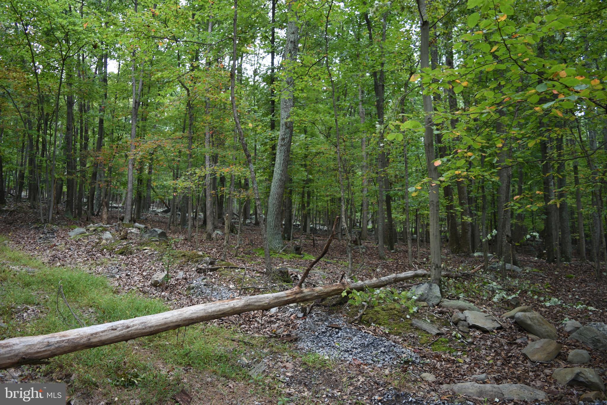 Terrapin Rd