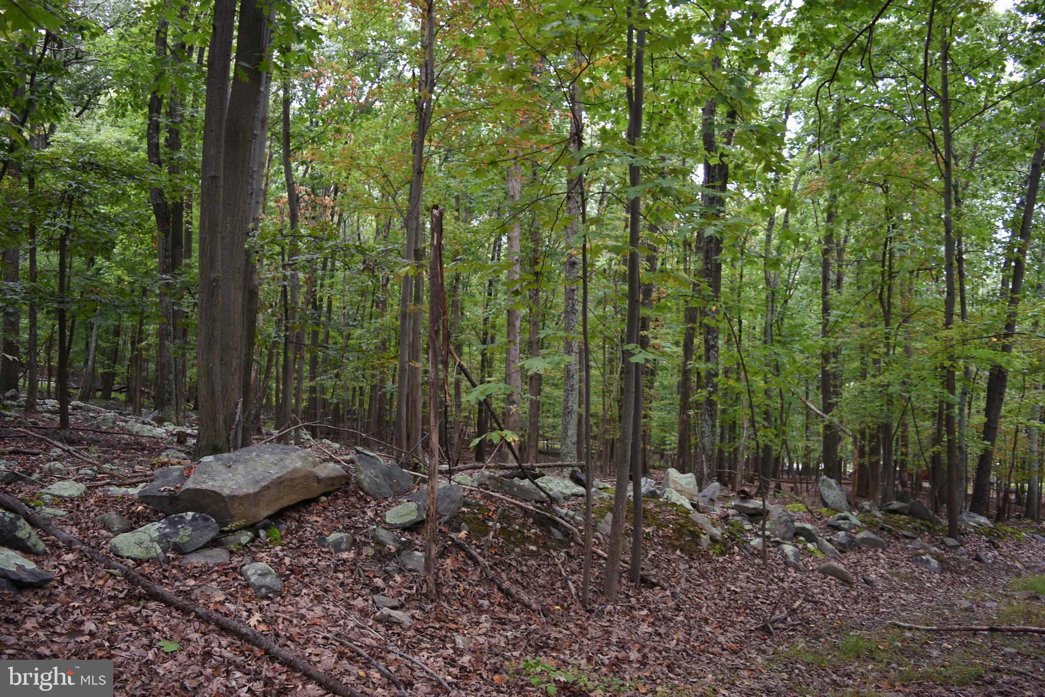 Terrapin Rd