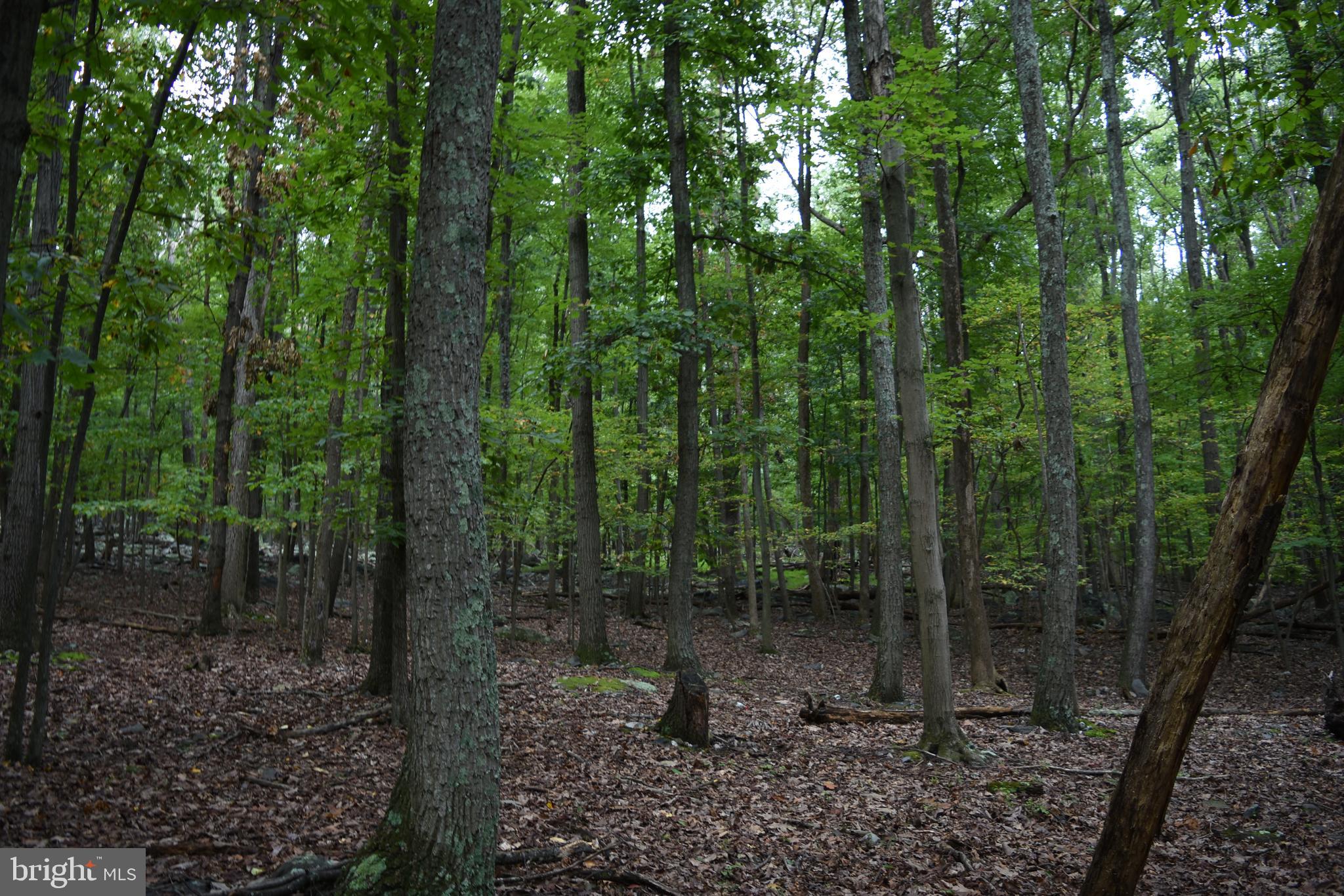 Terrapin Rd