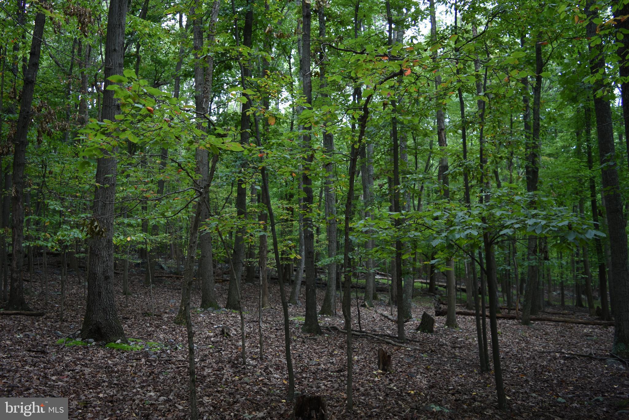 Terrapin Rd