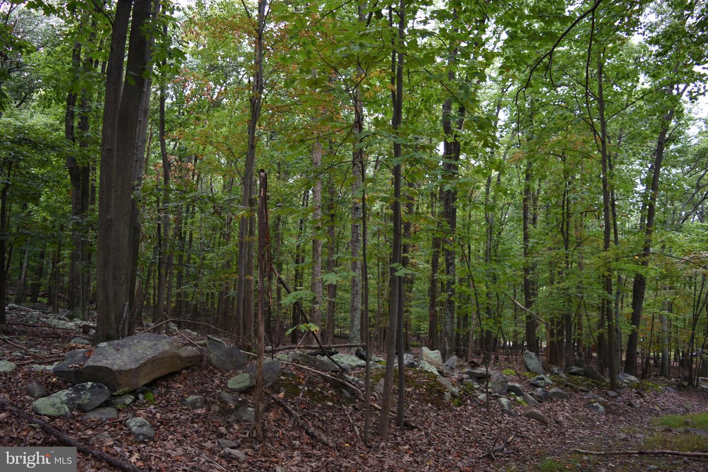 Terrapin Rd