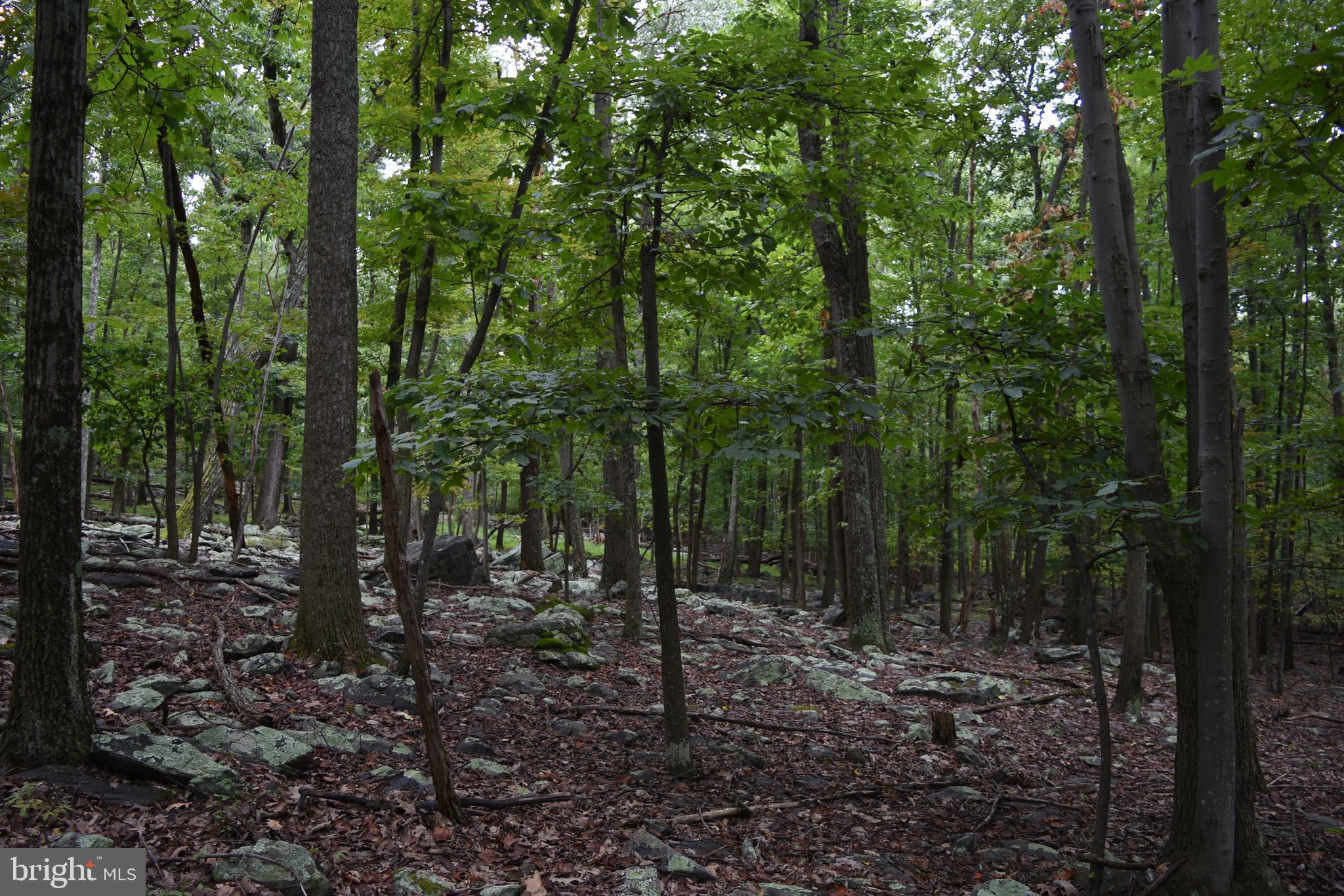 Terrapin Rd