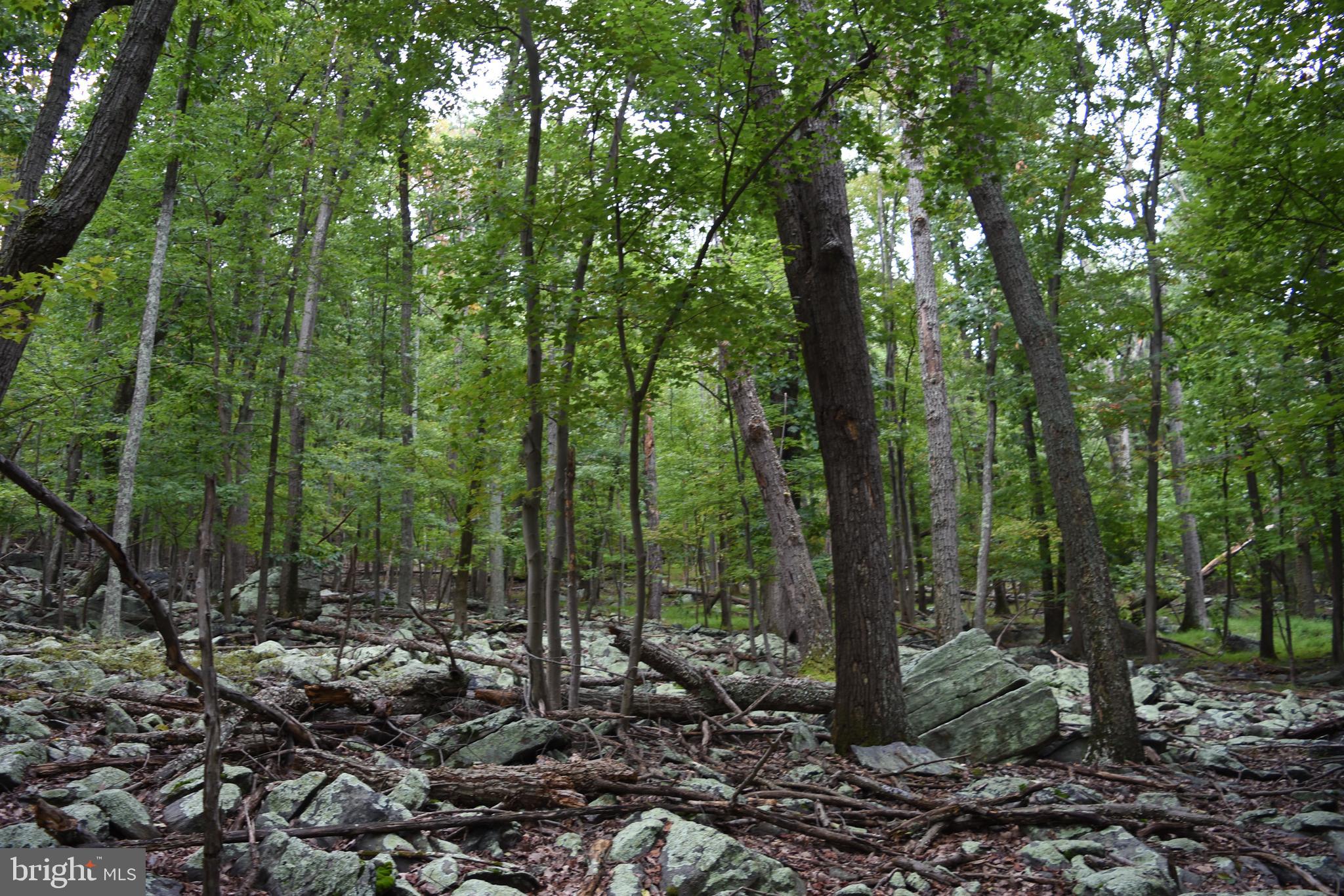 Terrapin Rd