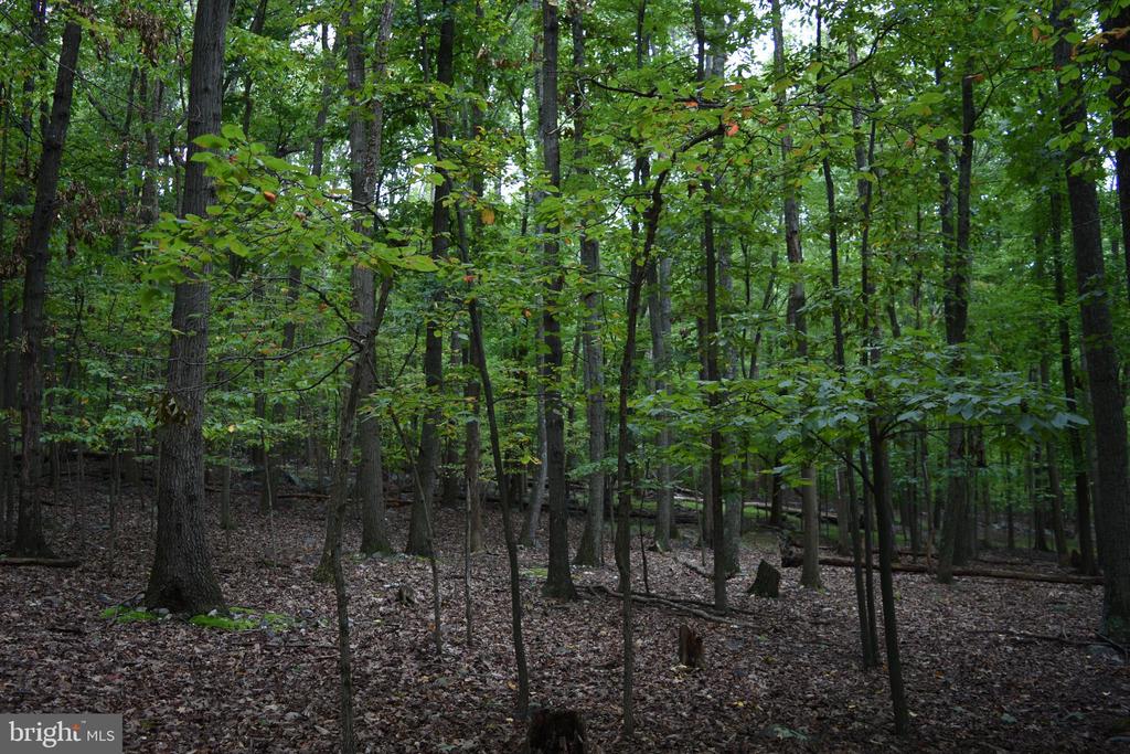 Terrapin Rd