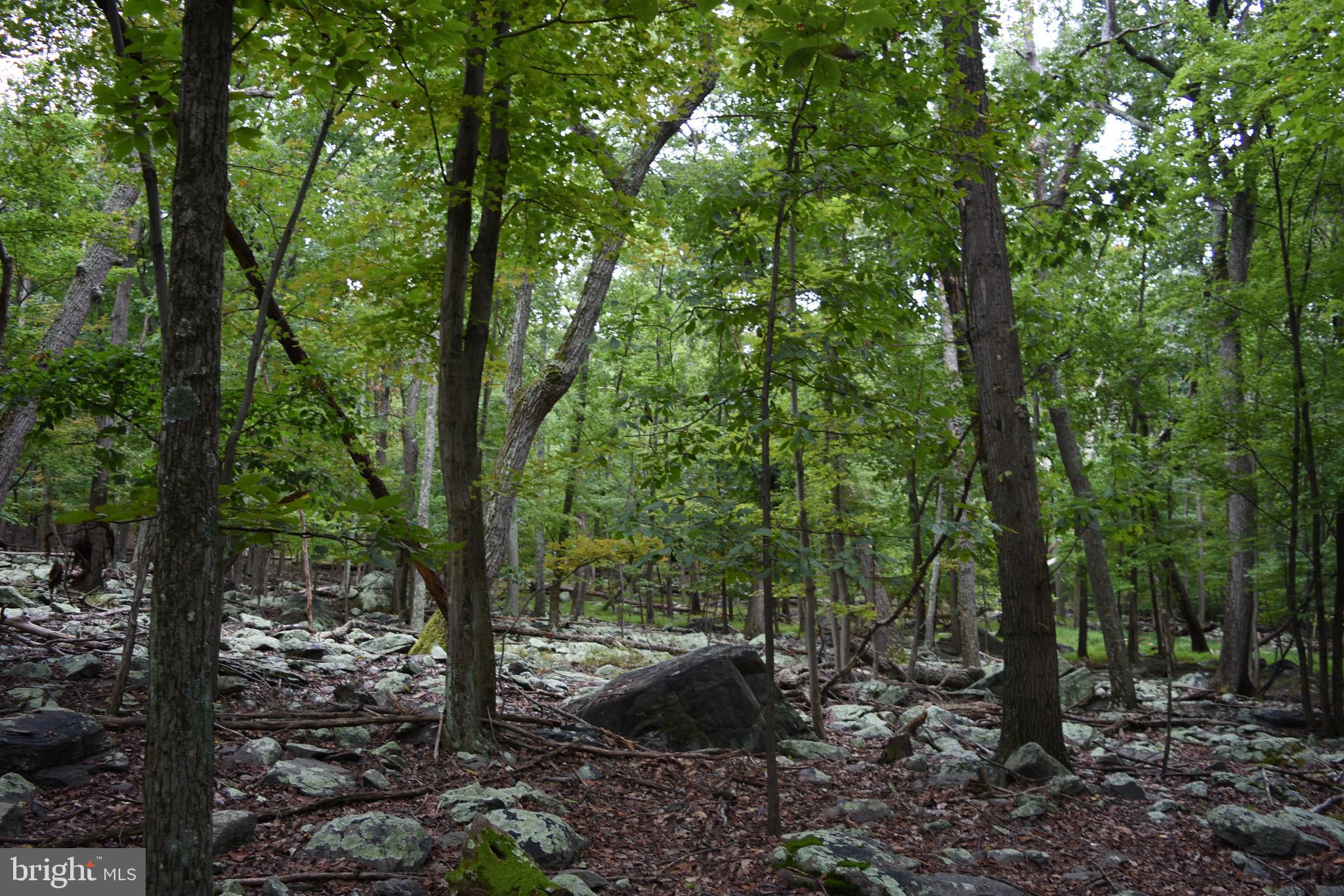 Terrapin Rd