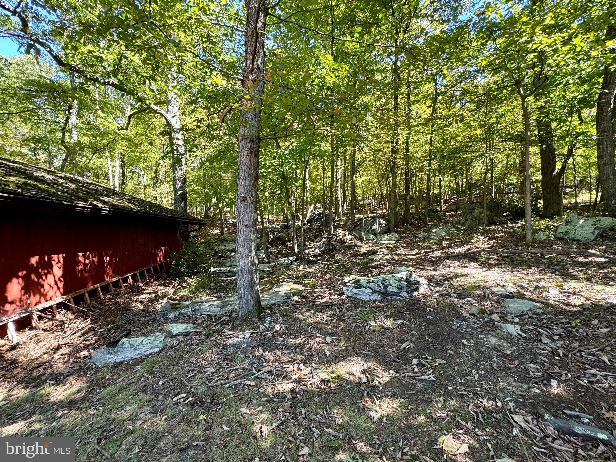 1030 Shannondale Rd