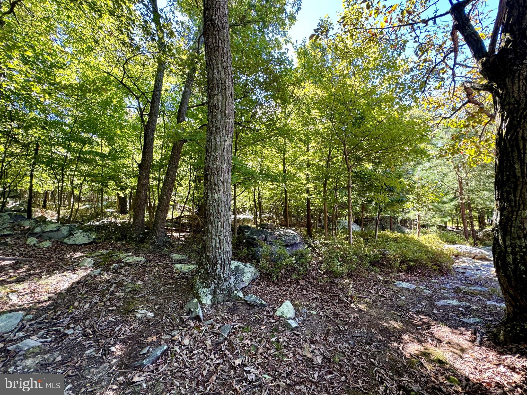 1030 Shannondale Rd