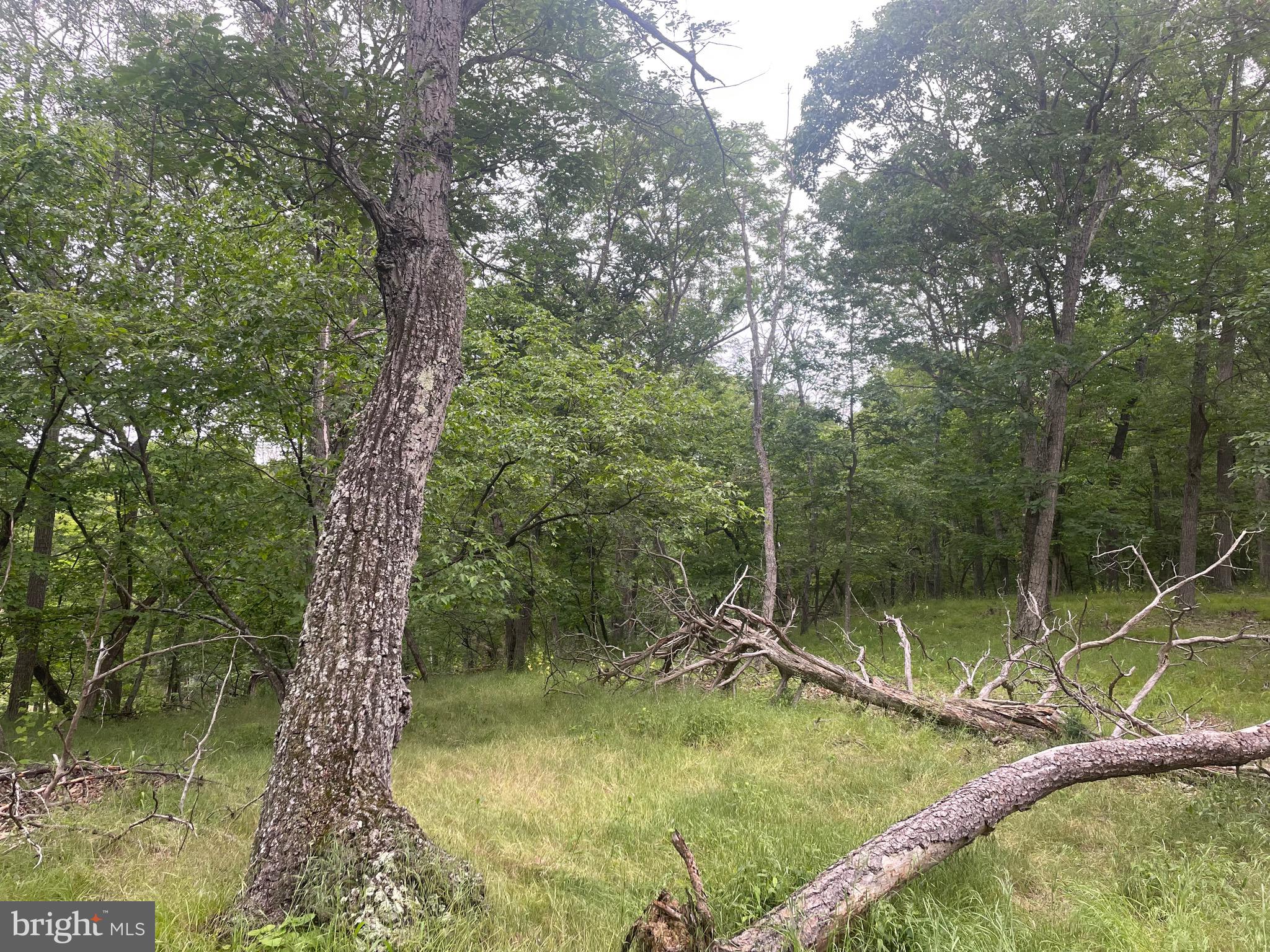 280 CHAMPWOOD RIDGE CT