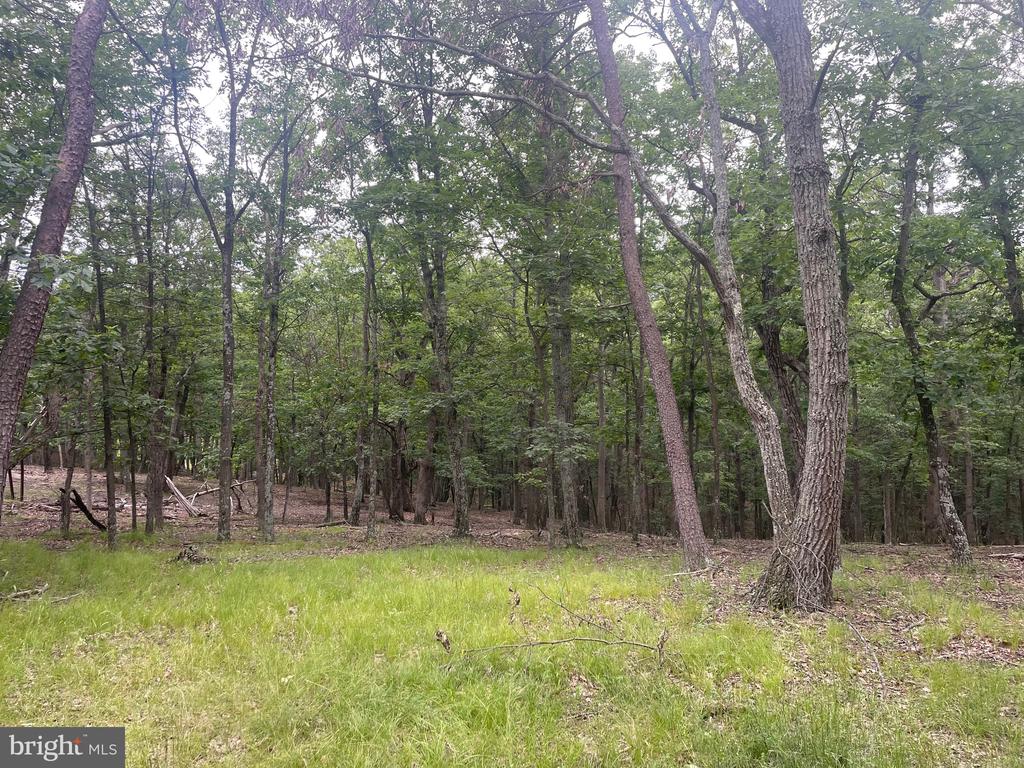 280 CHAMPWOOD RIDGE CT