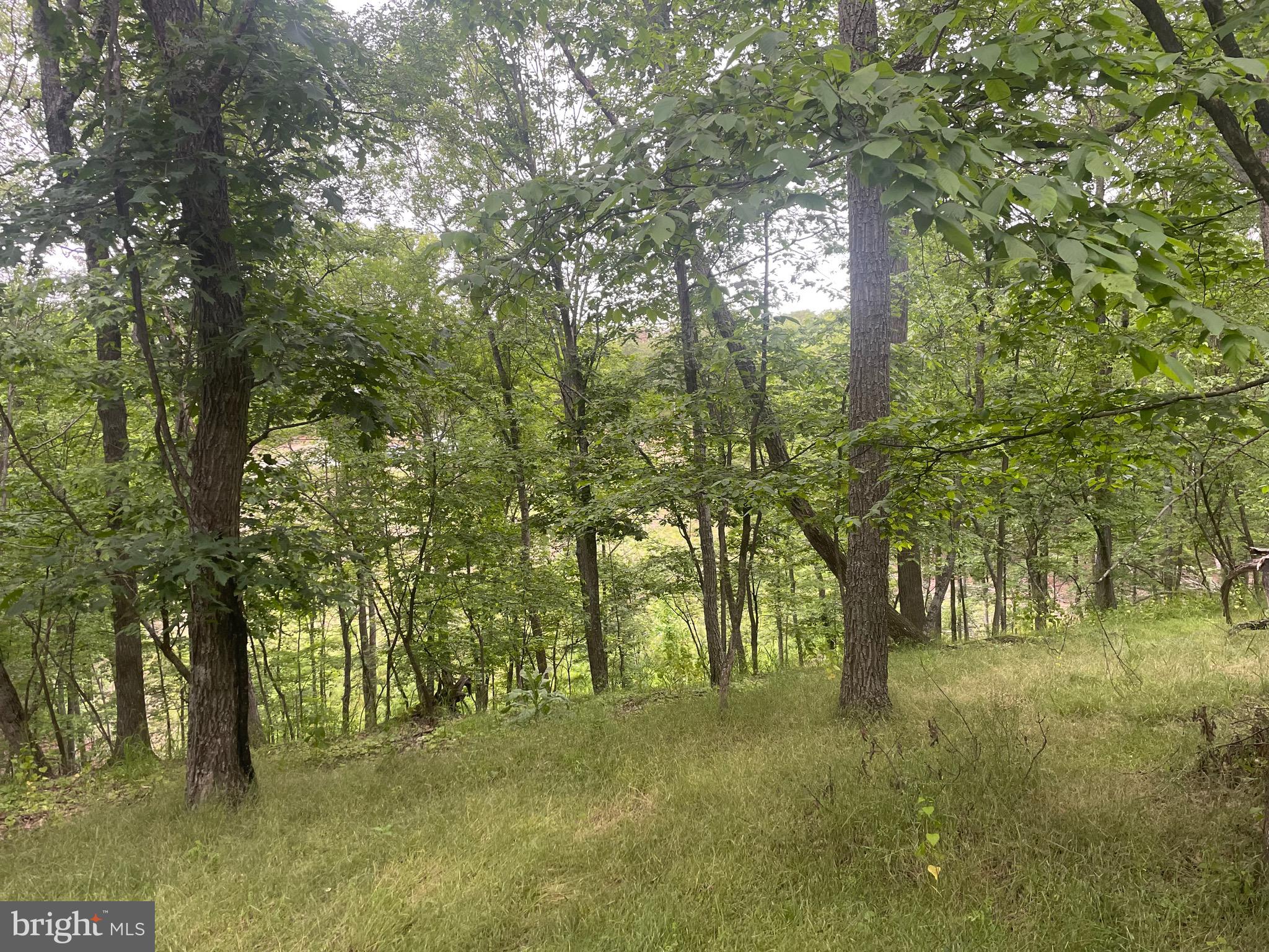 280 CHAMPWOOD RIDGE CT