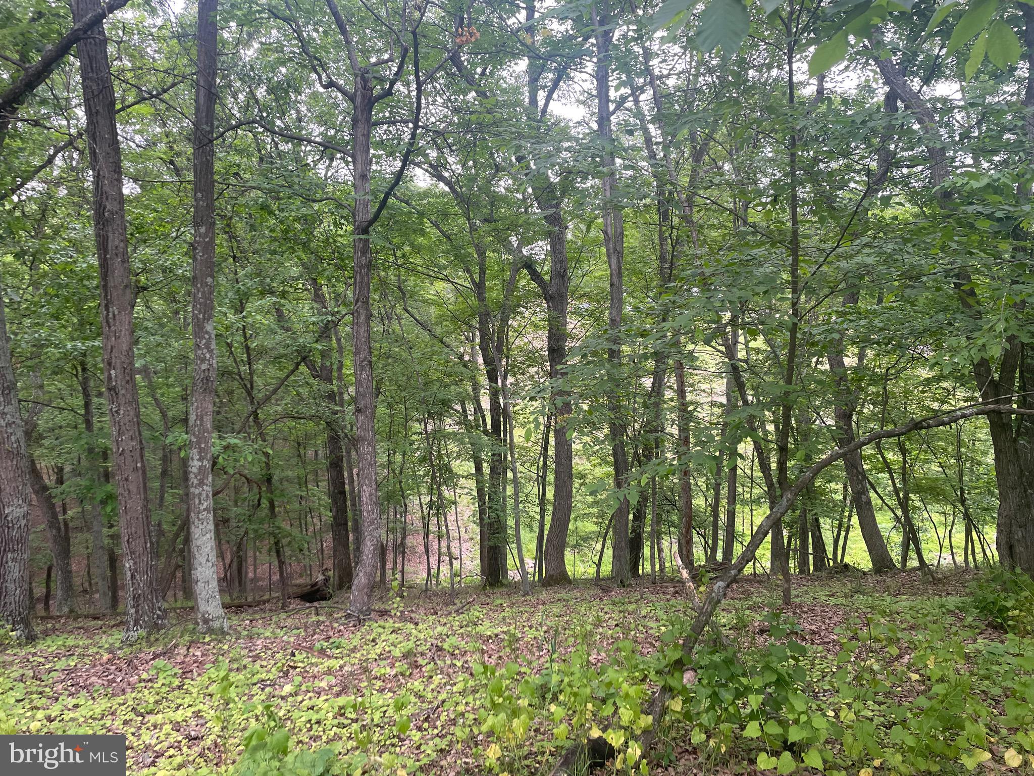 280 CHAMPWOOD RIDGE CT