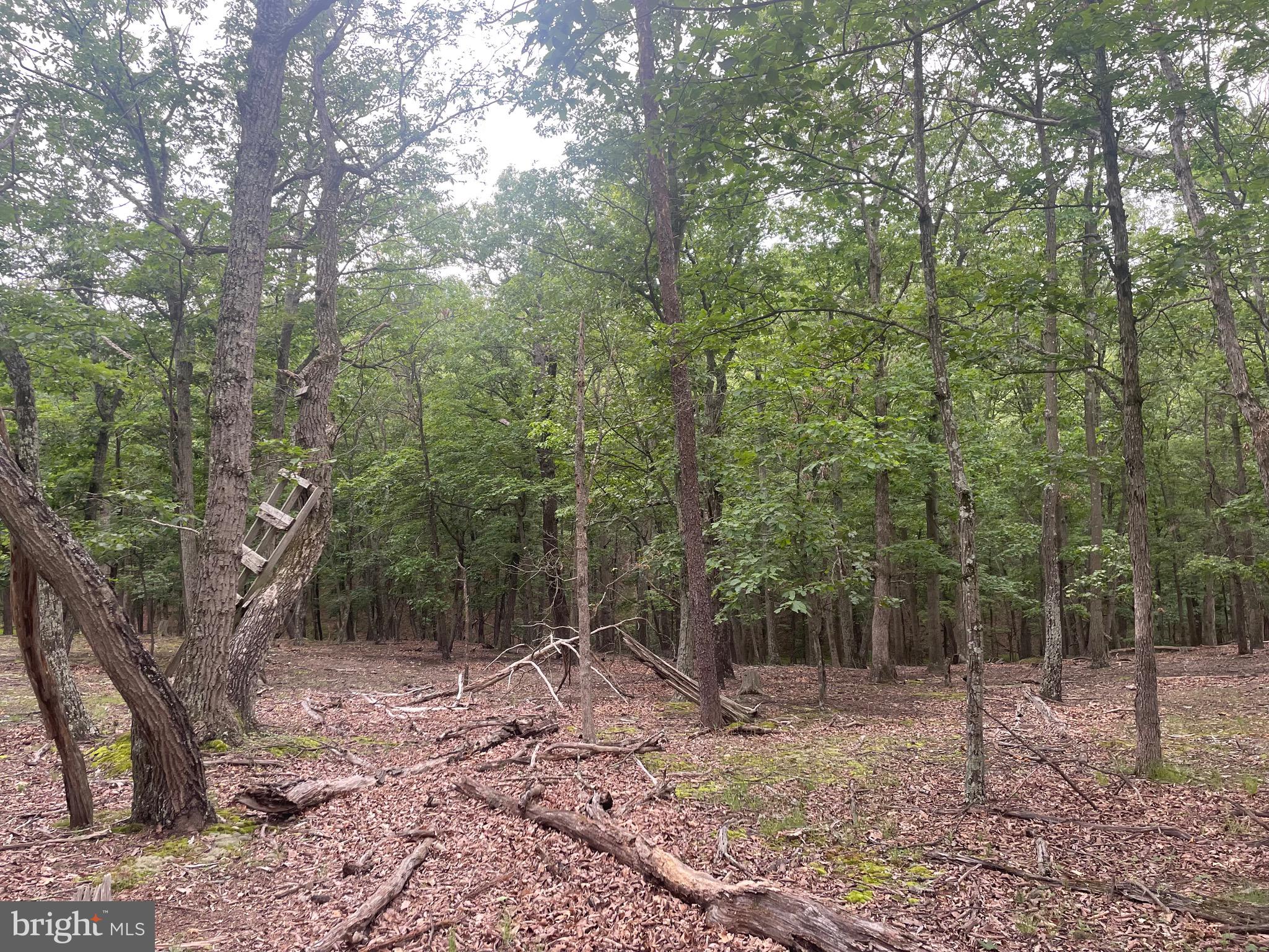 280 CHAMPWOOD RIDGE CT