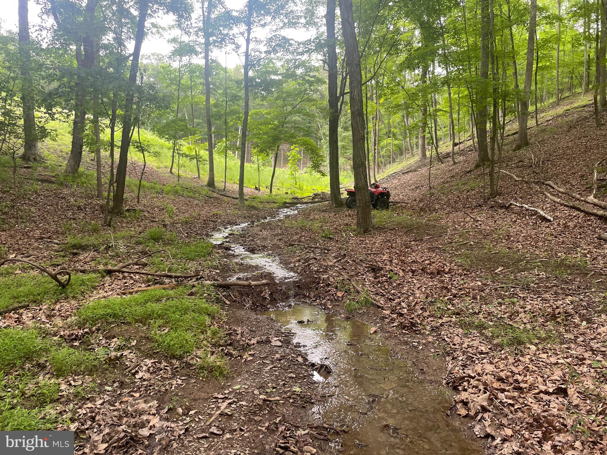 280 CHAMPWOOD RIDGE CT