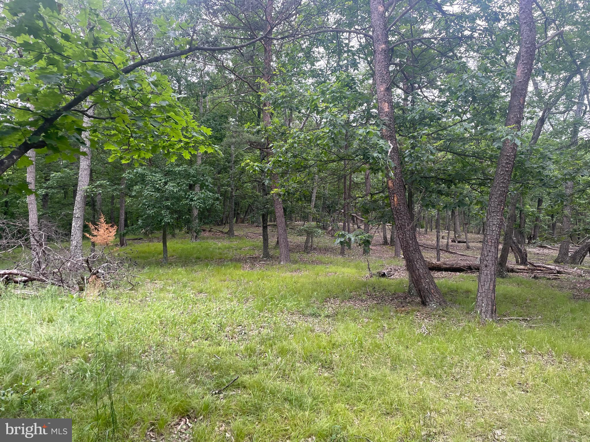 280 CHAMPWOOD RIDGE CT