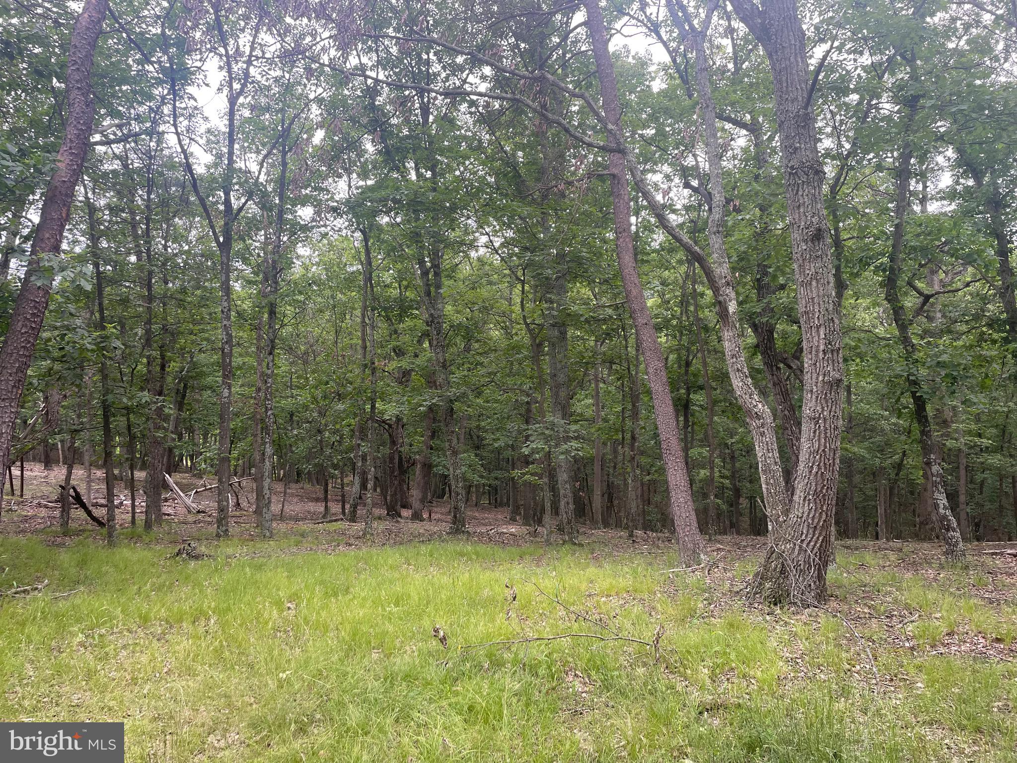 280 CHAMPWOOD RIDGE CT