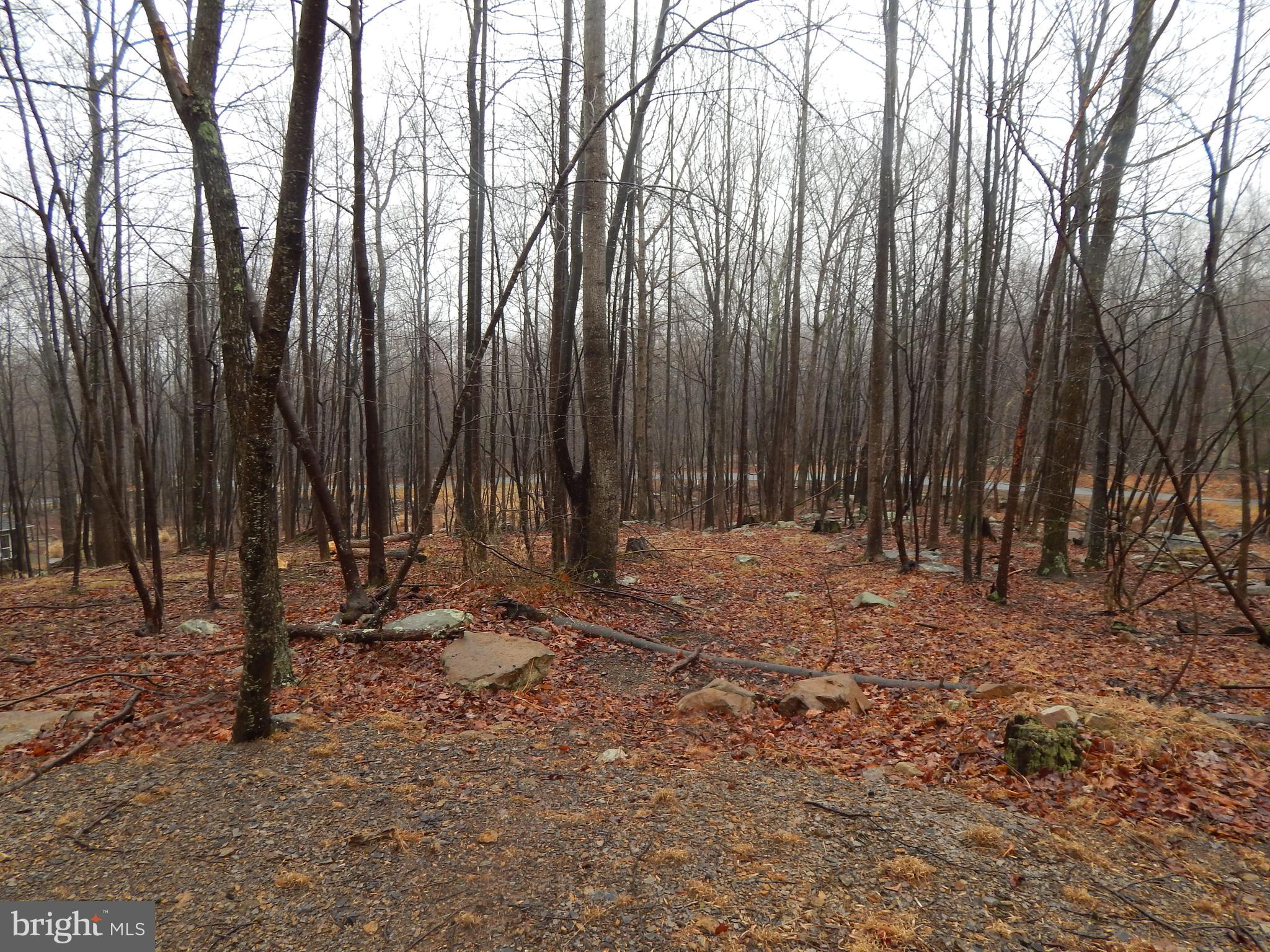 Lot 37 Parkside Court