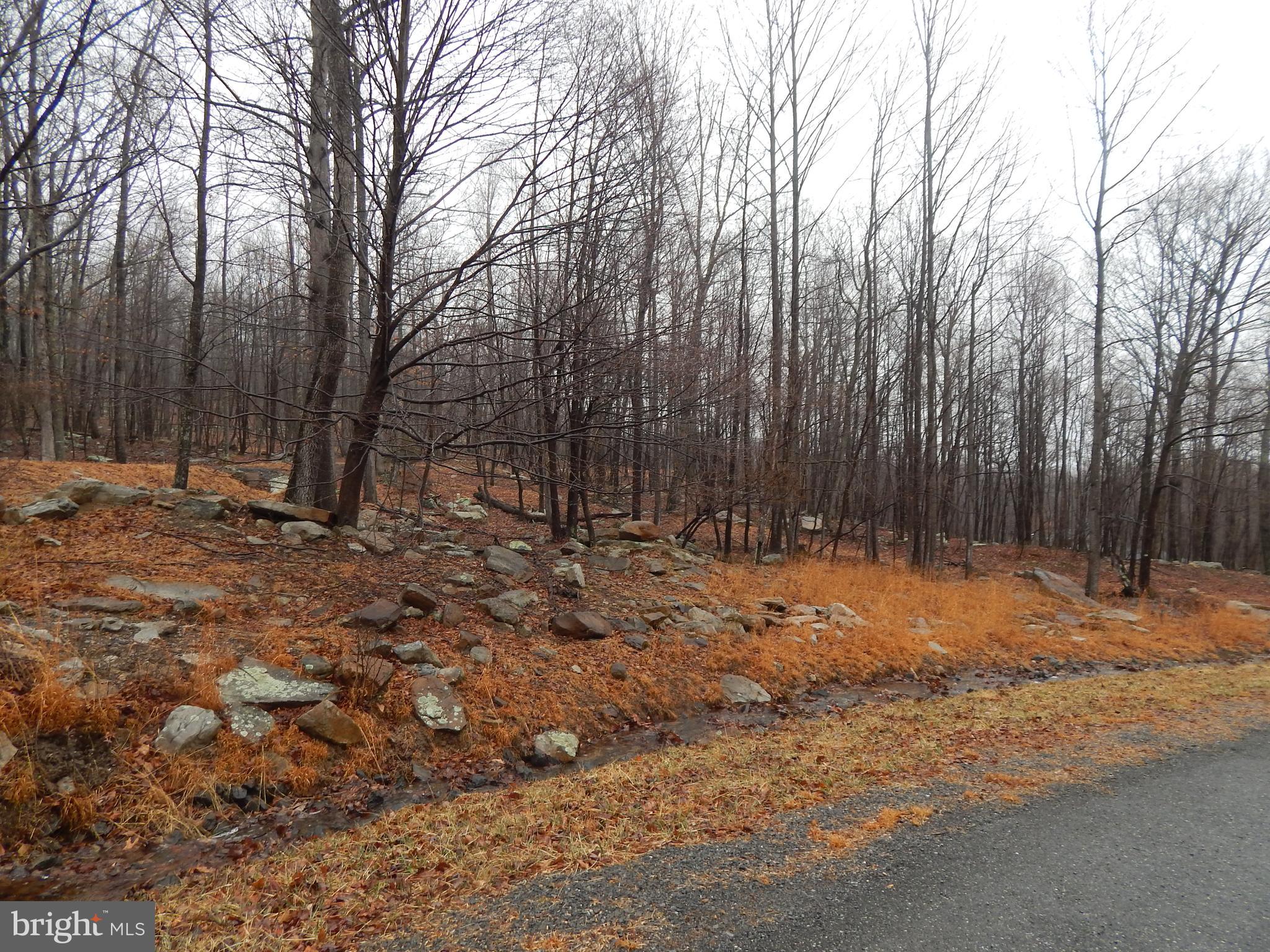 Lot 37 Parkside Court