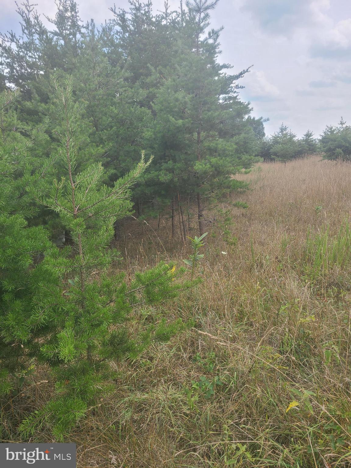 Husk Trail
