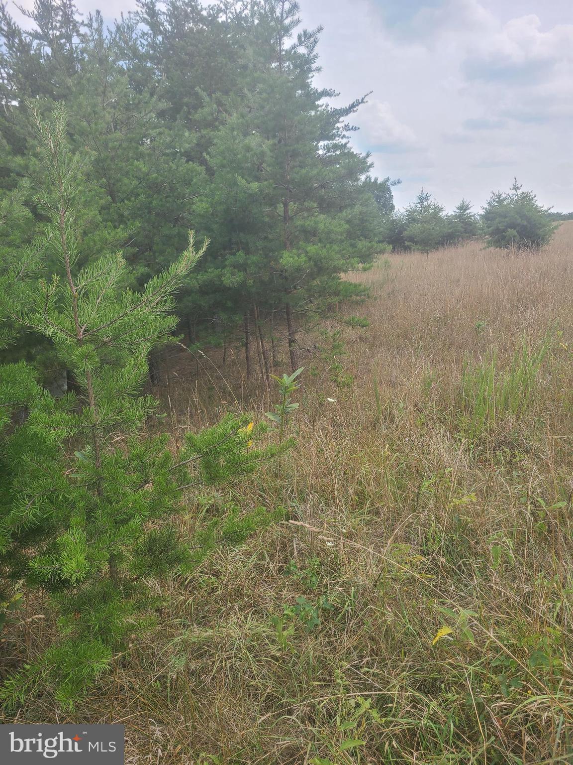 Husk Trail