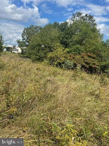Apple Orchard Cir