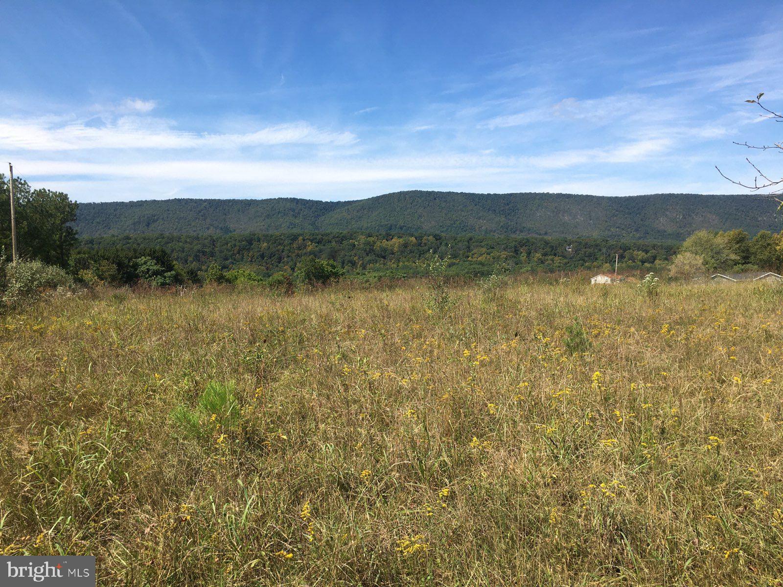 Apple Orchard Cir