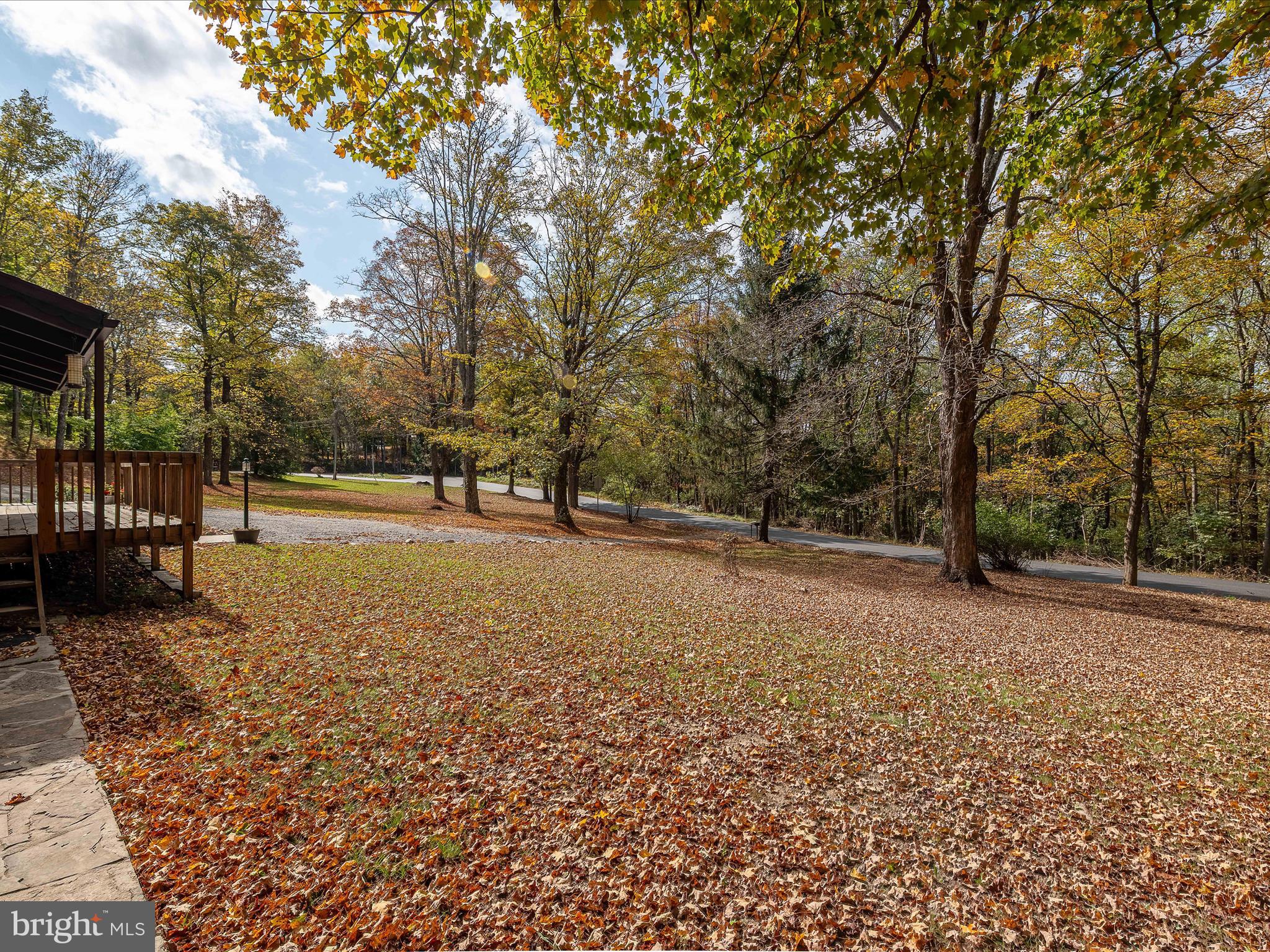 56 Sir Johns Run Rd