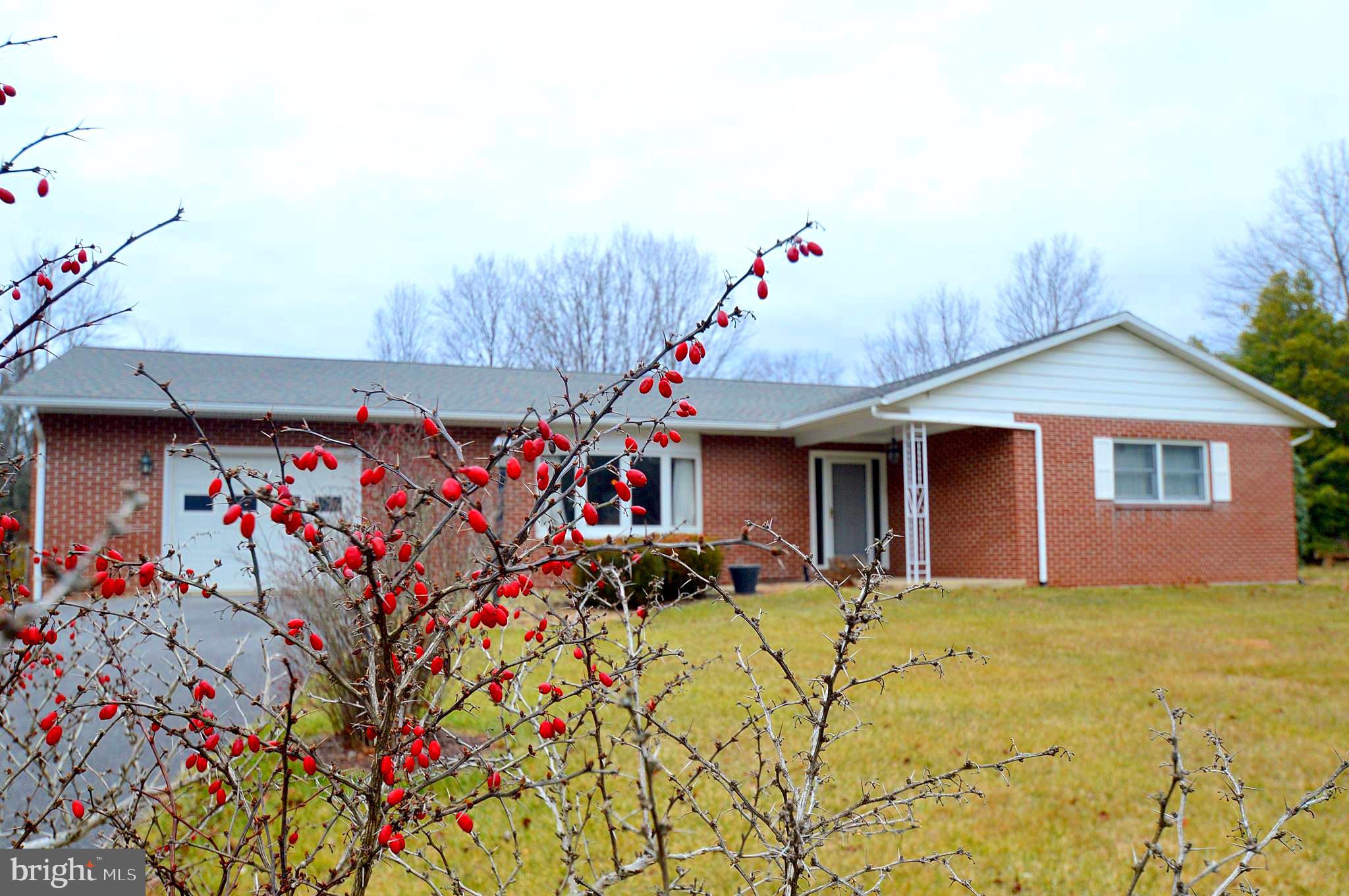 315 Shirley Dr