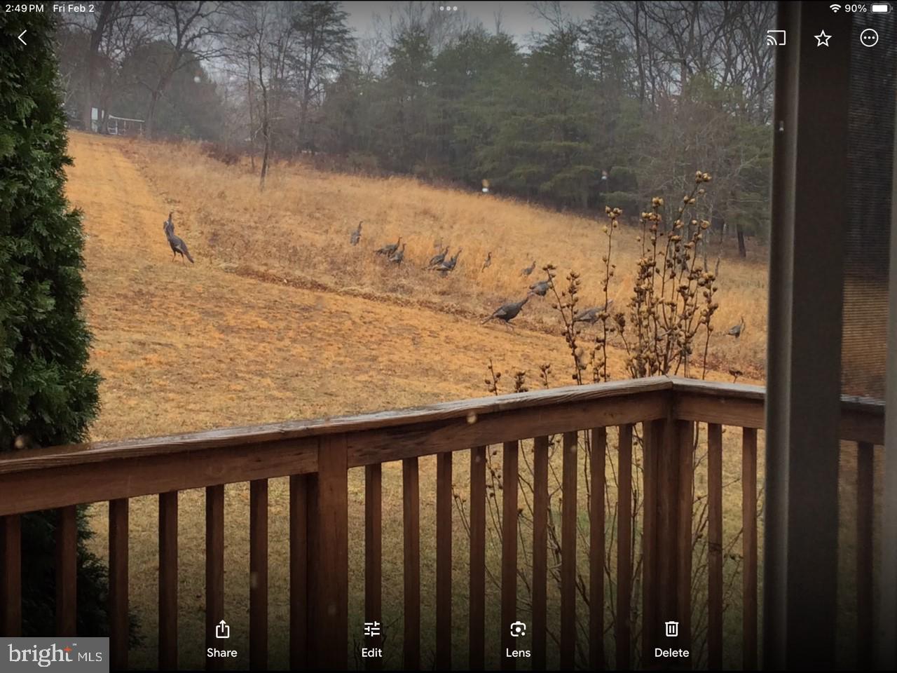 18092 Cacapon Rd