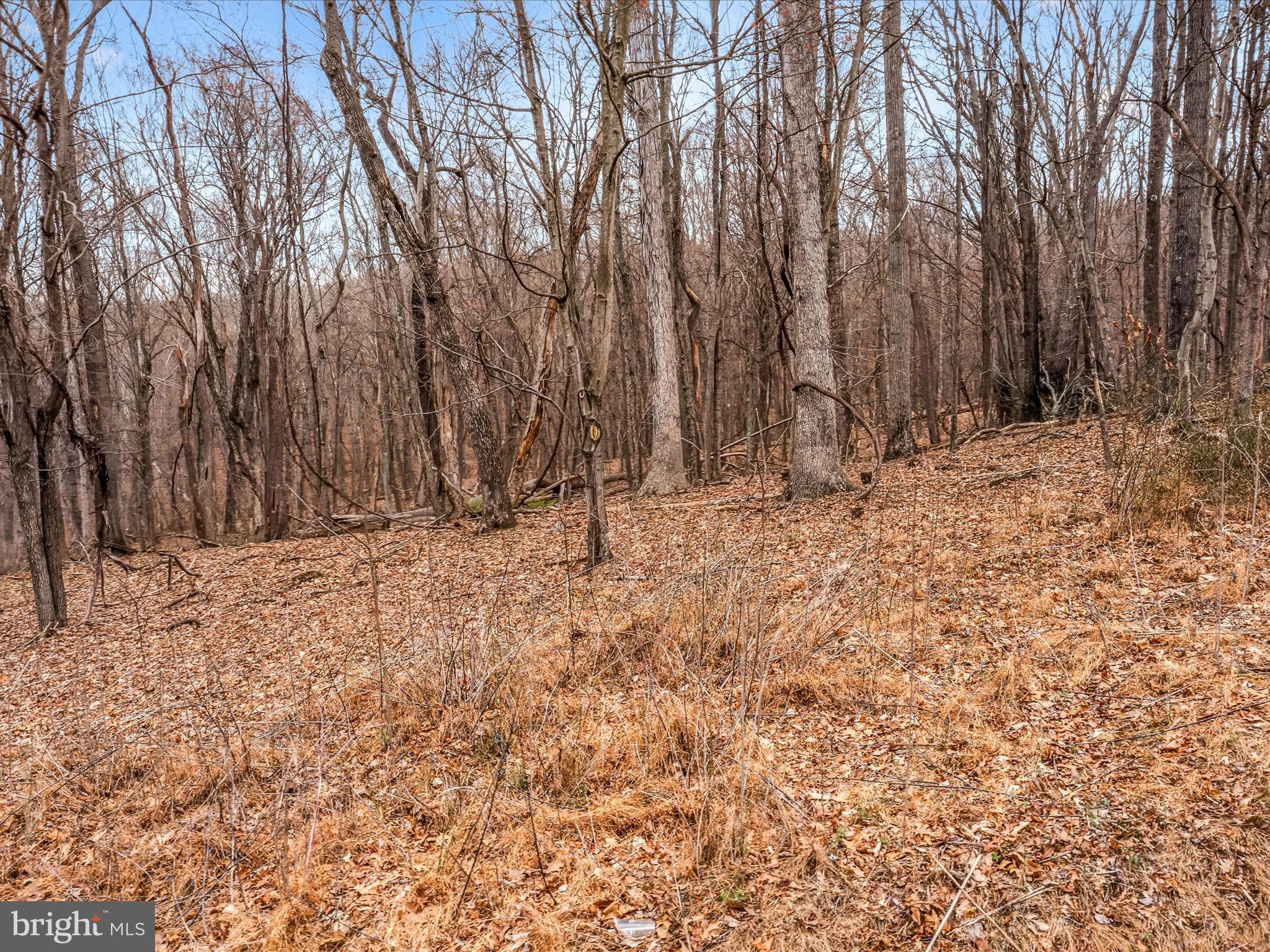Orleans Rd #Lot 2