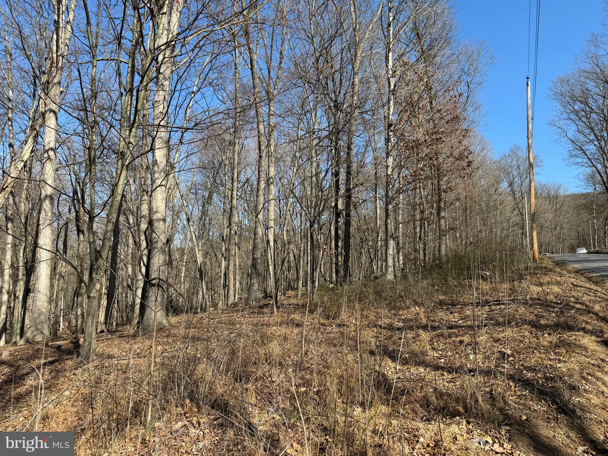 Orleans Rd #Lot 2