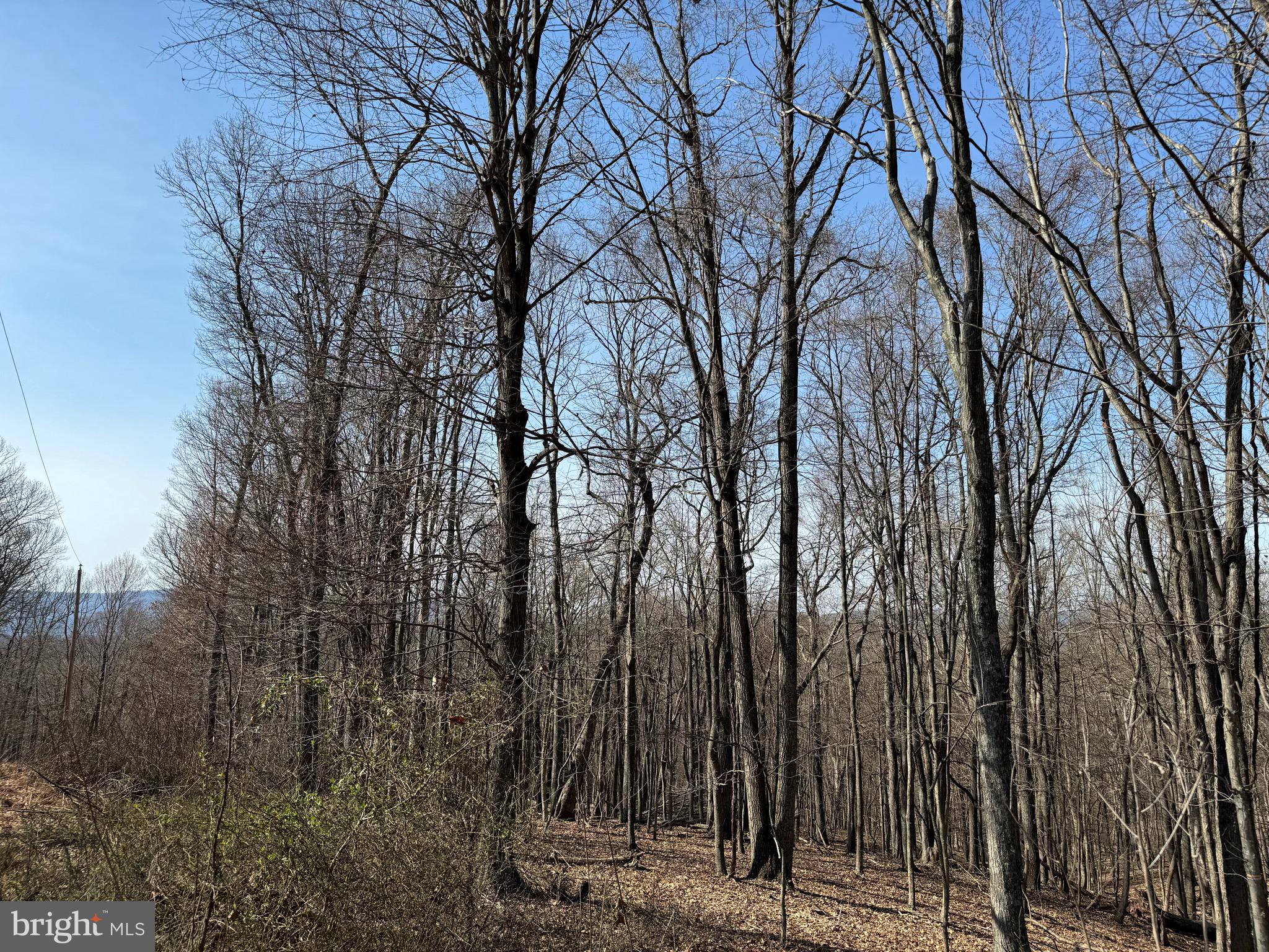 Orleans Rd #Lot 2