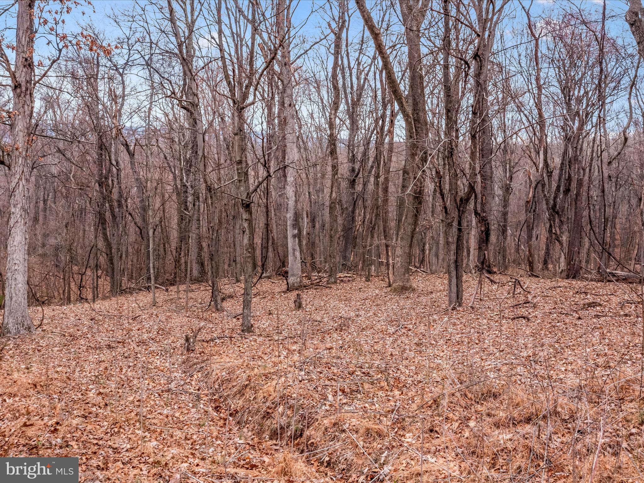 Orleans Rd #Lot 2