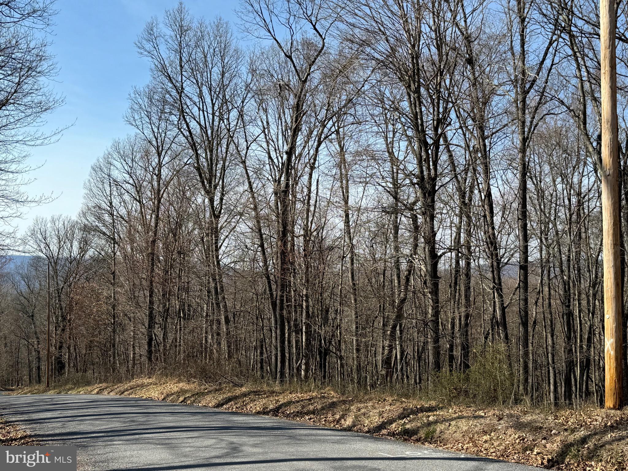 Orleans Rd #Lot 2