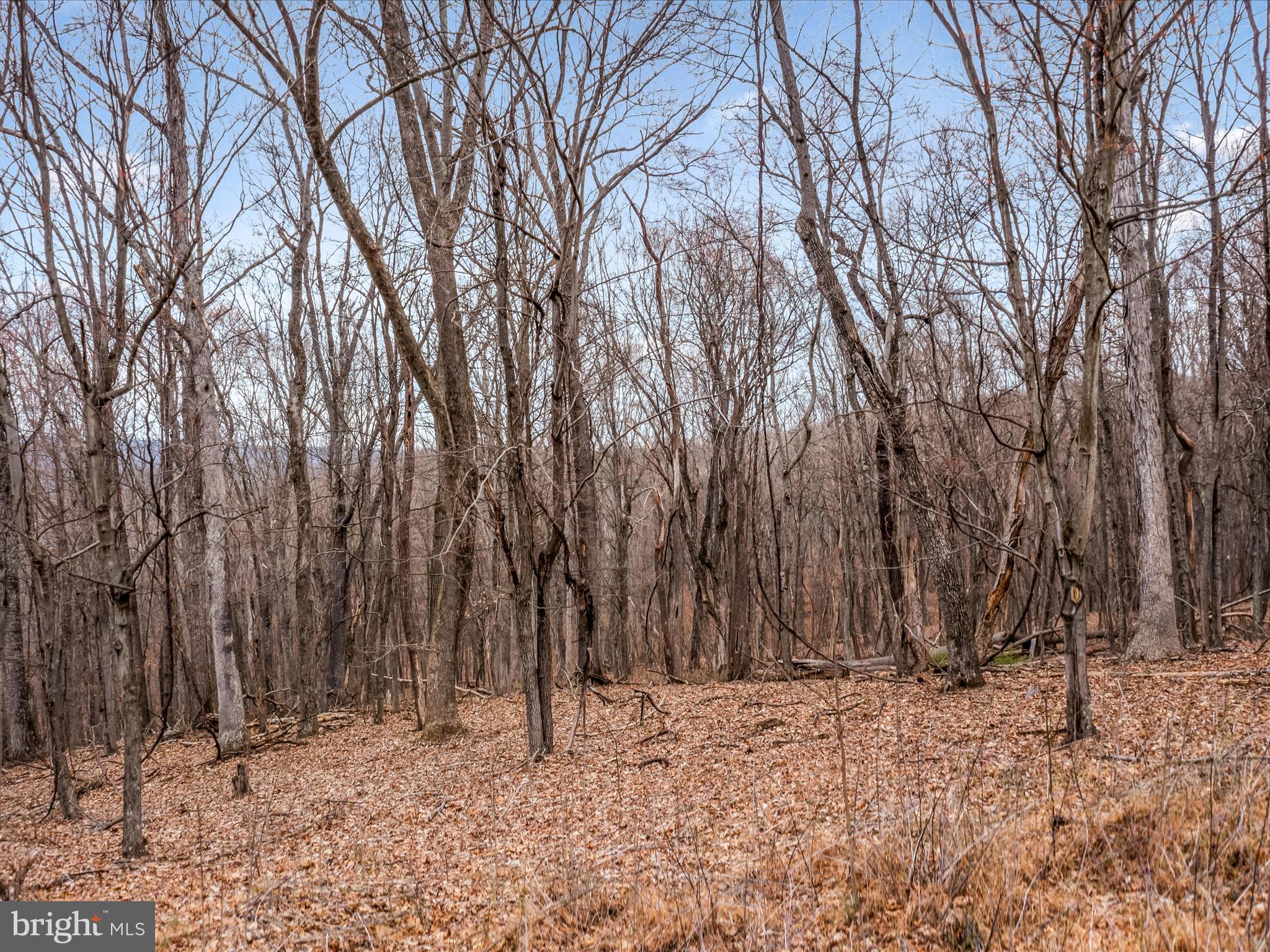 Orleans Rd #Lot 2