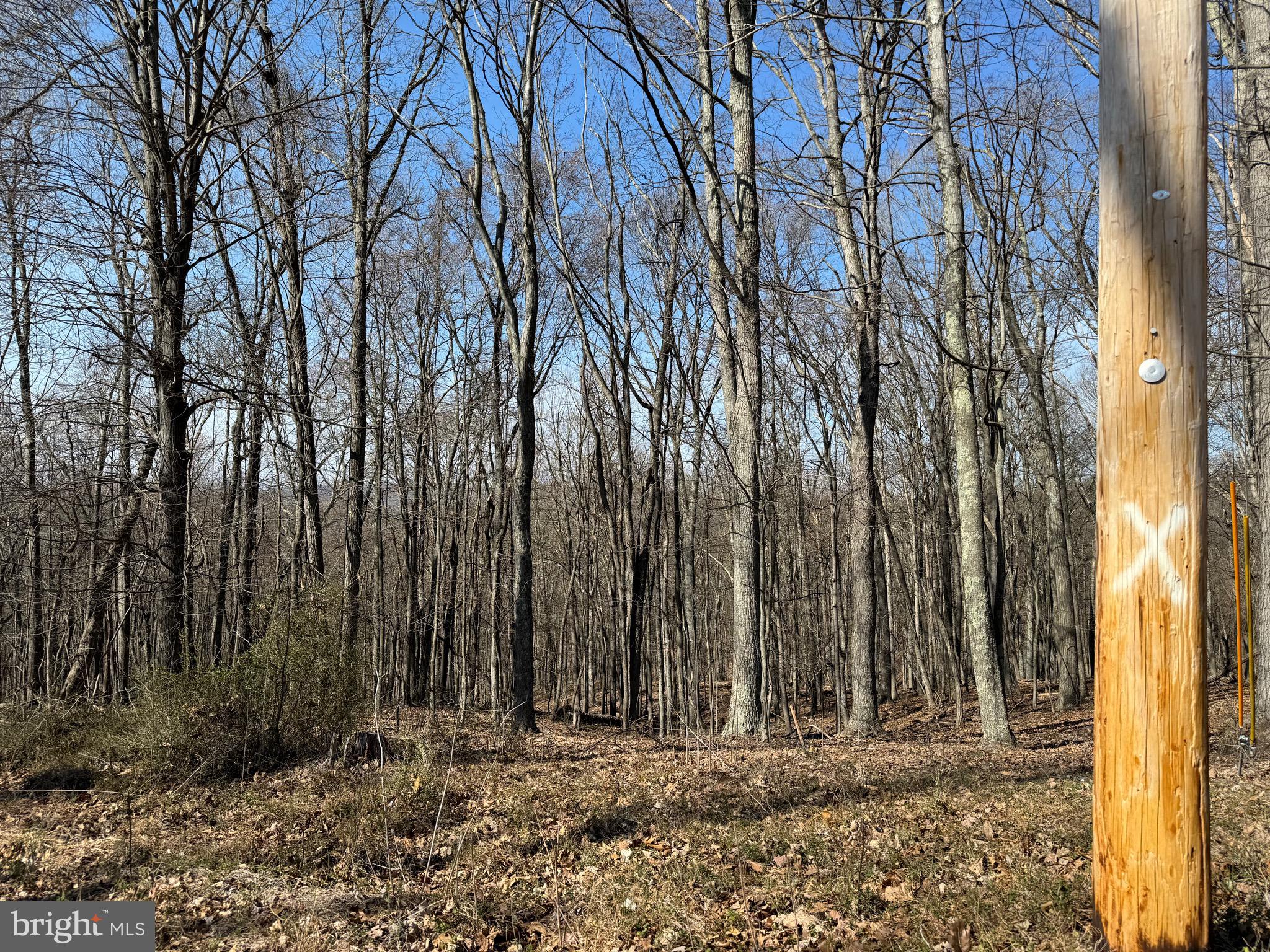 Orleans Rd #Lot 2