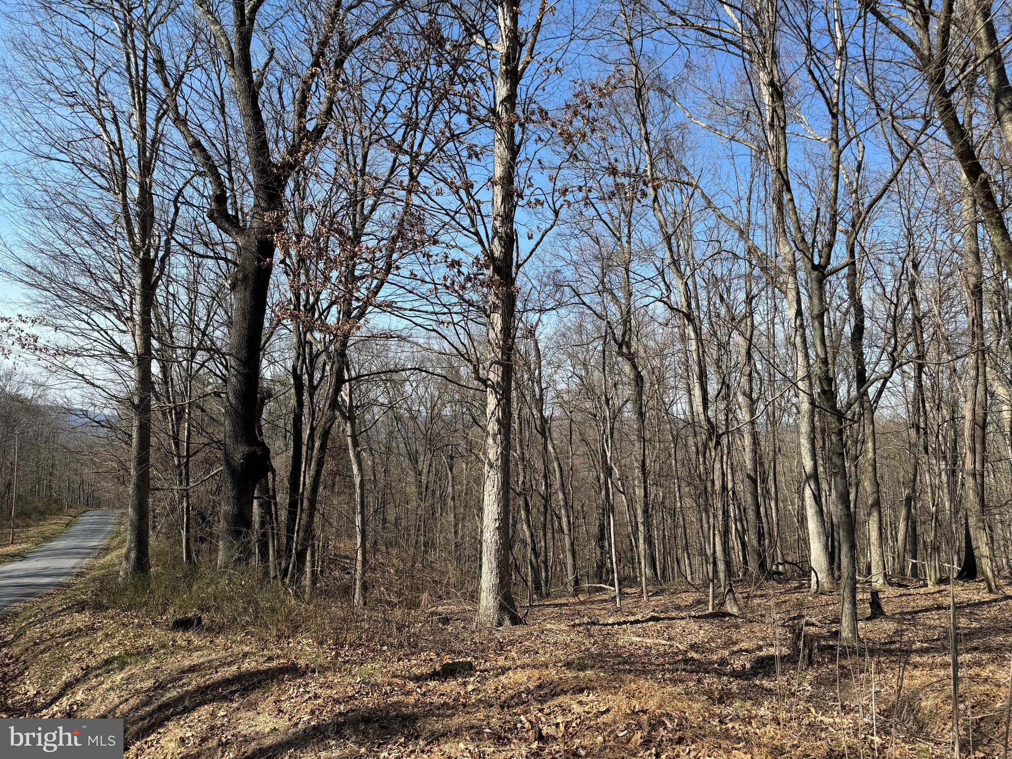 Orleans Rd #Lot 2