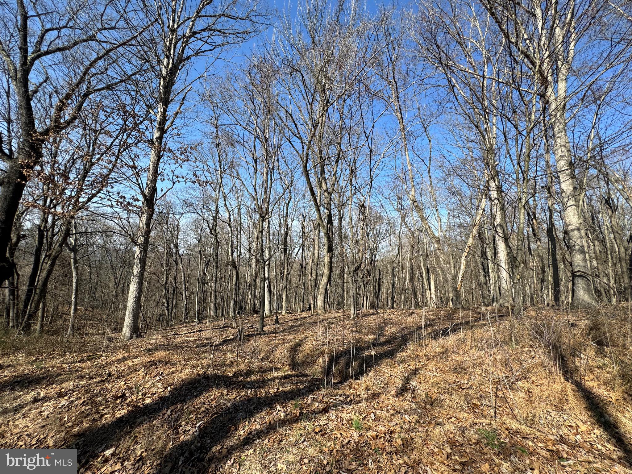 Orleans Rd #Lot 2