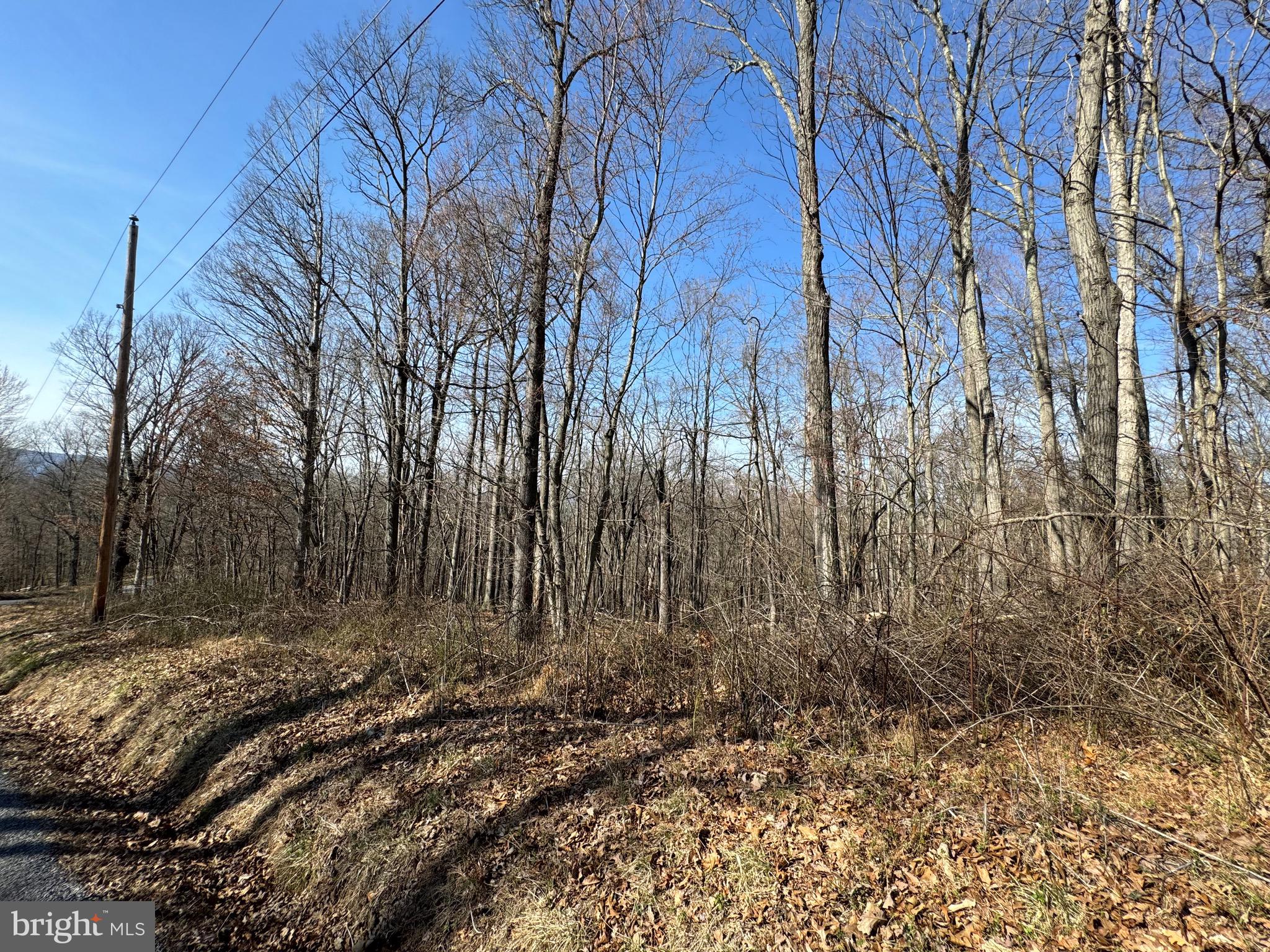 Orleans Rd #Lot 2
