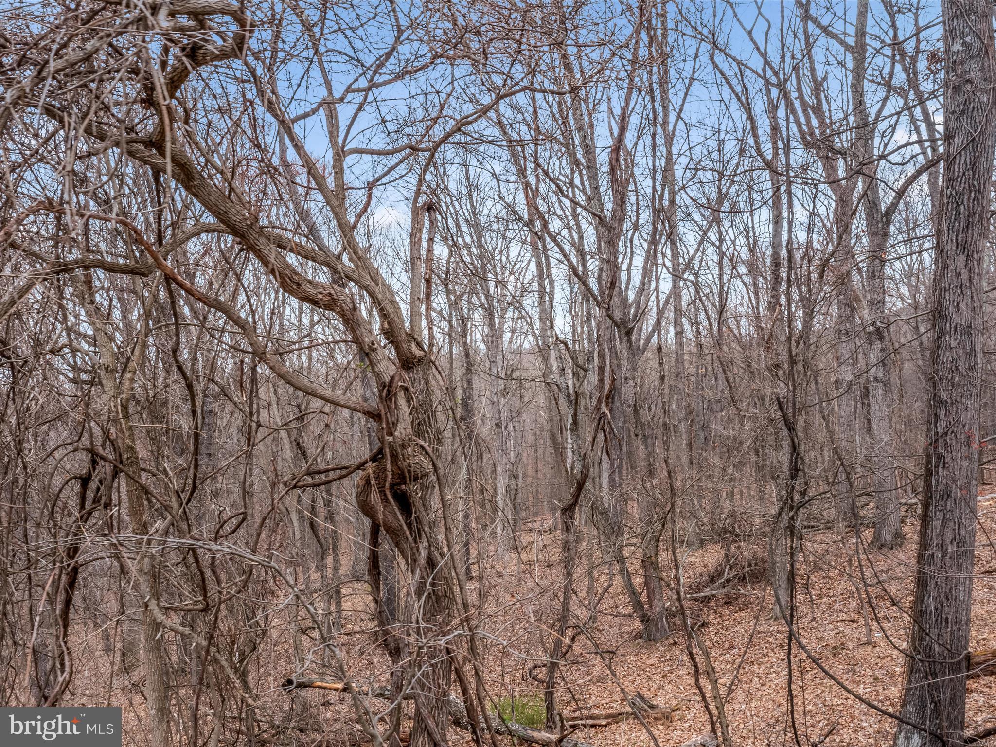 Orleans Rd #Lot 2