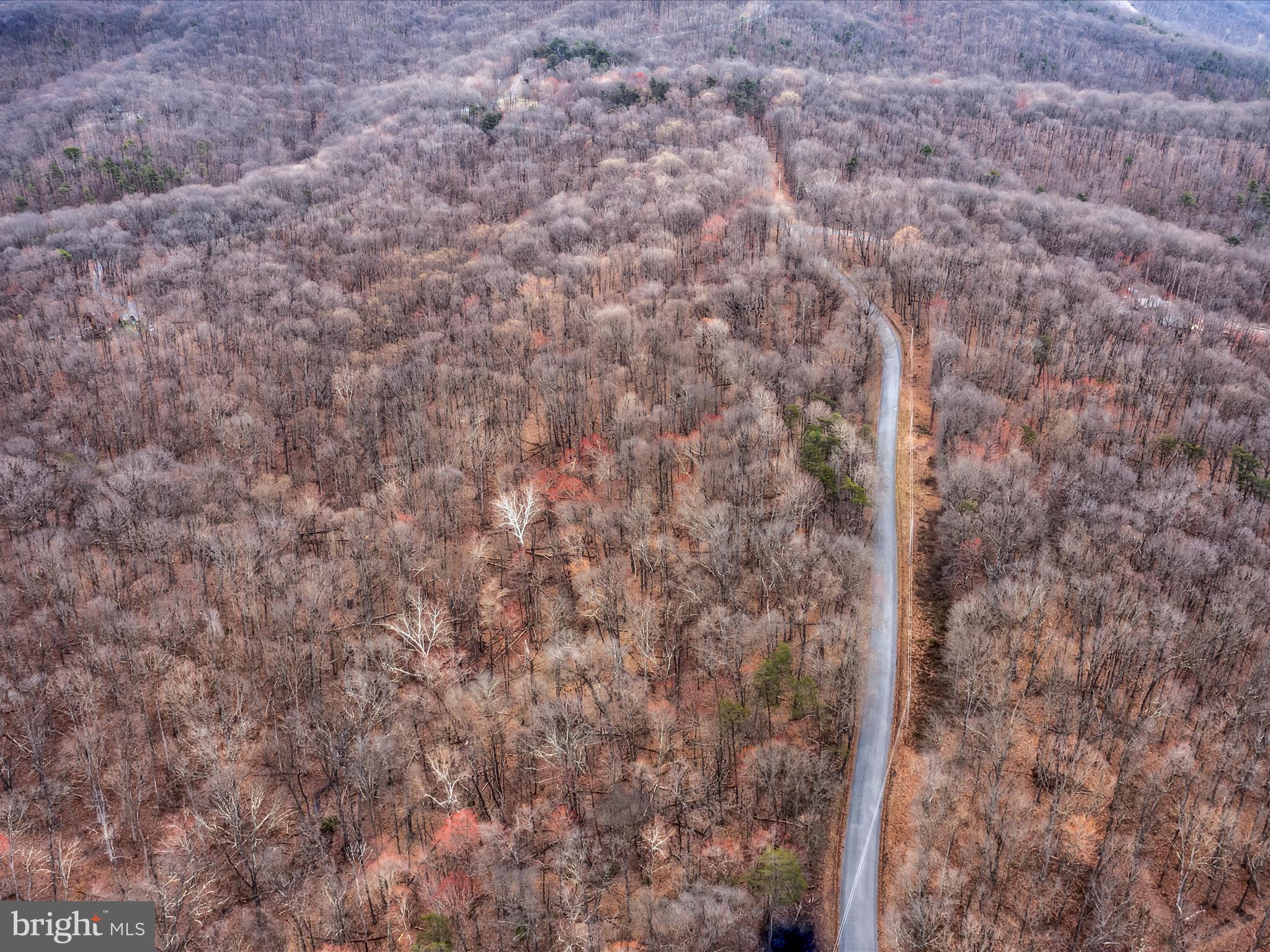 Orleans Rd #Lot 2