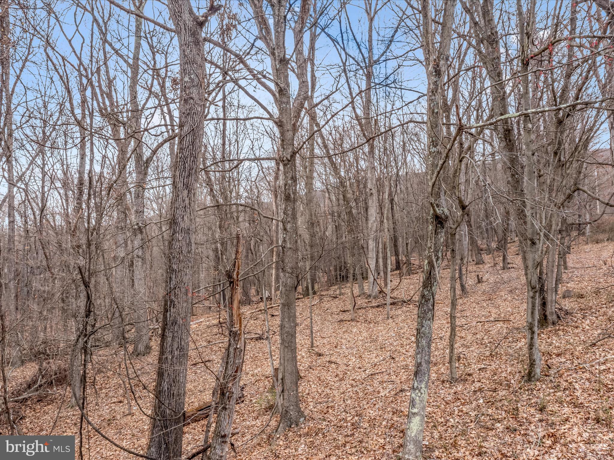 Orleans Rd #Lot 2