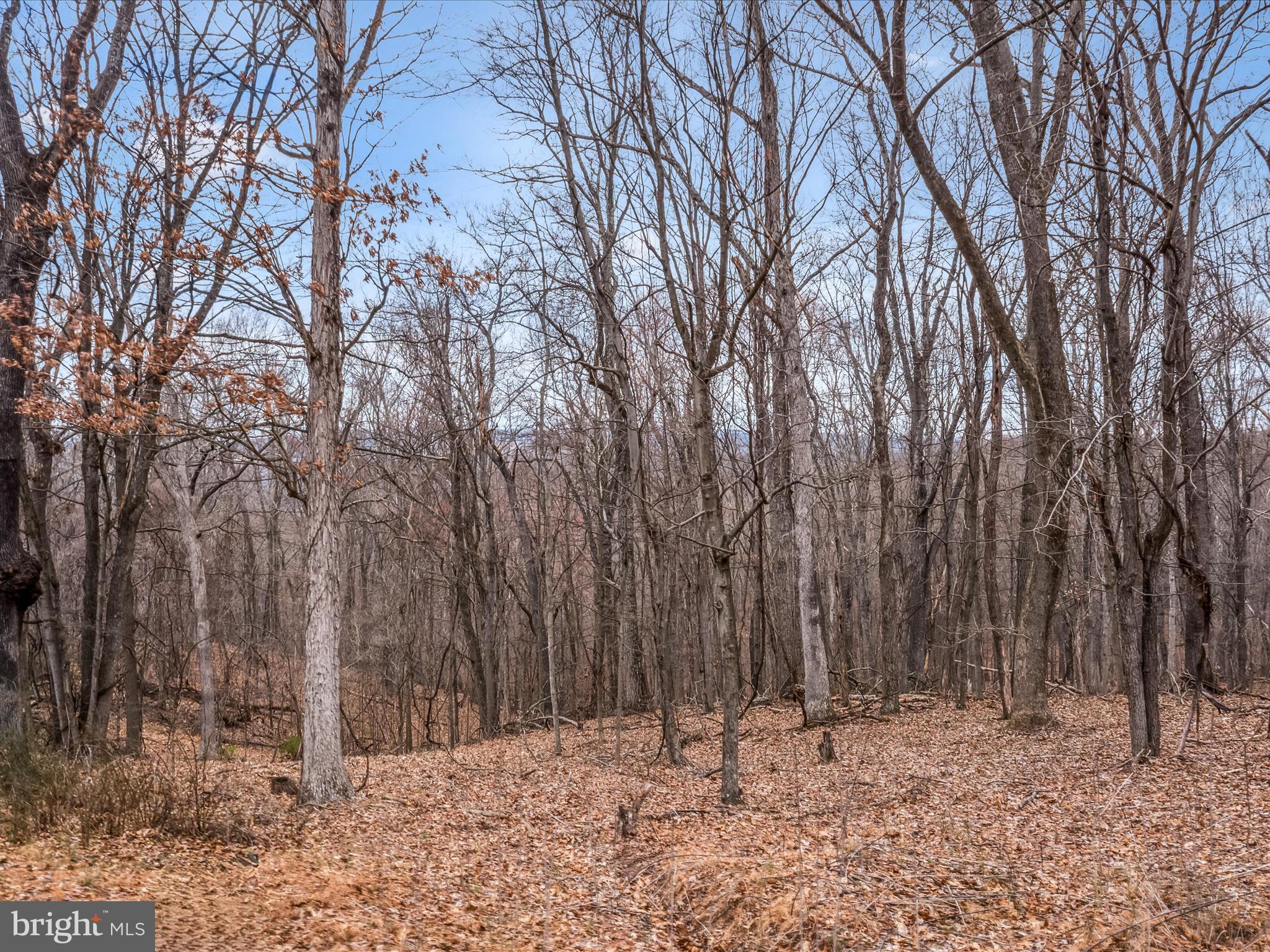 Orleans Rd #Lot 2