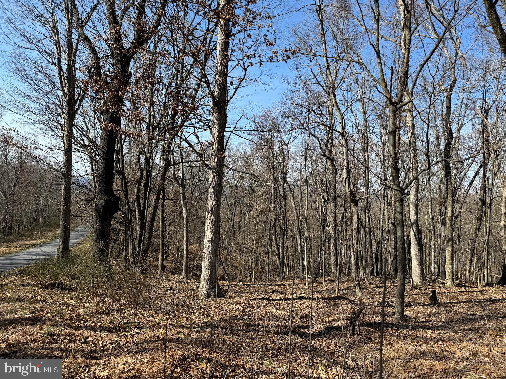 Orleans Rd #Lot 2
