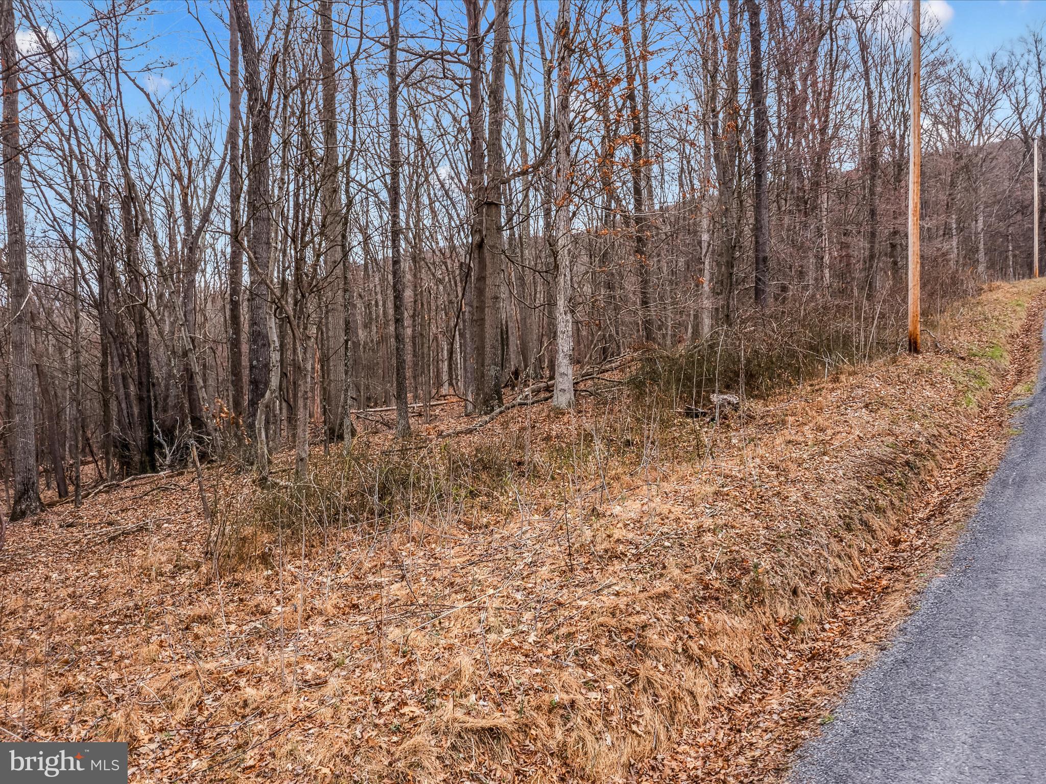 Orleans Rd #Lot 2