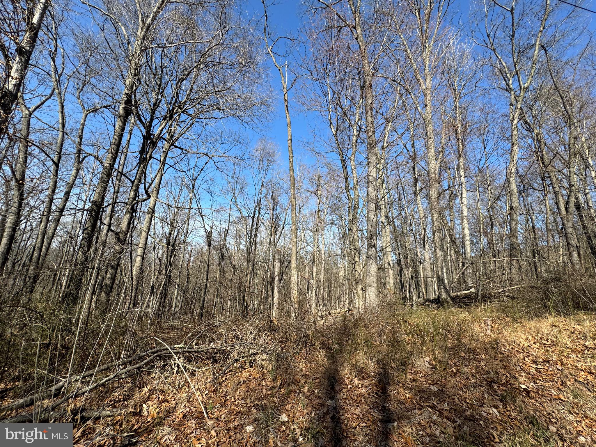 Orleans Rd #Lot 2