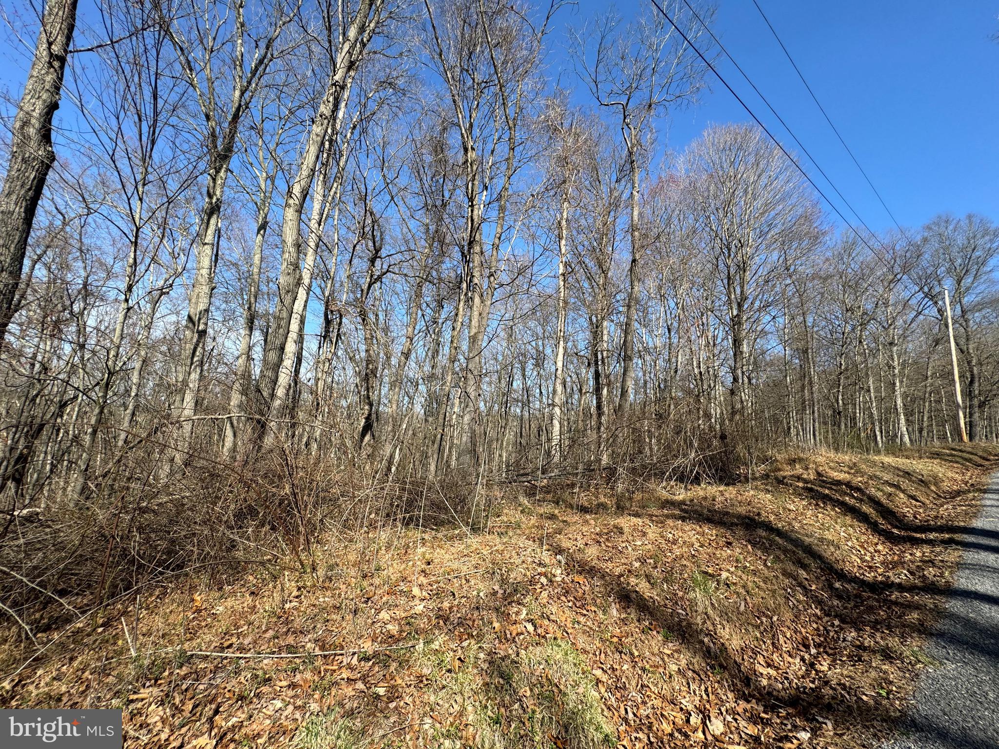 Orleans Rd #Lot 2